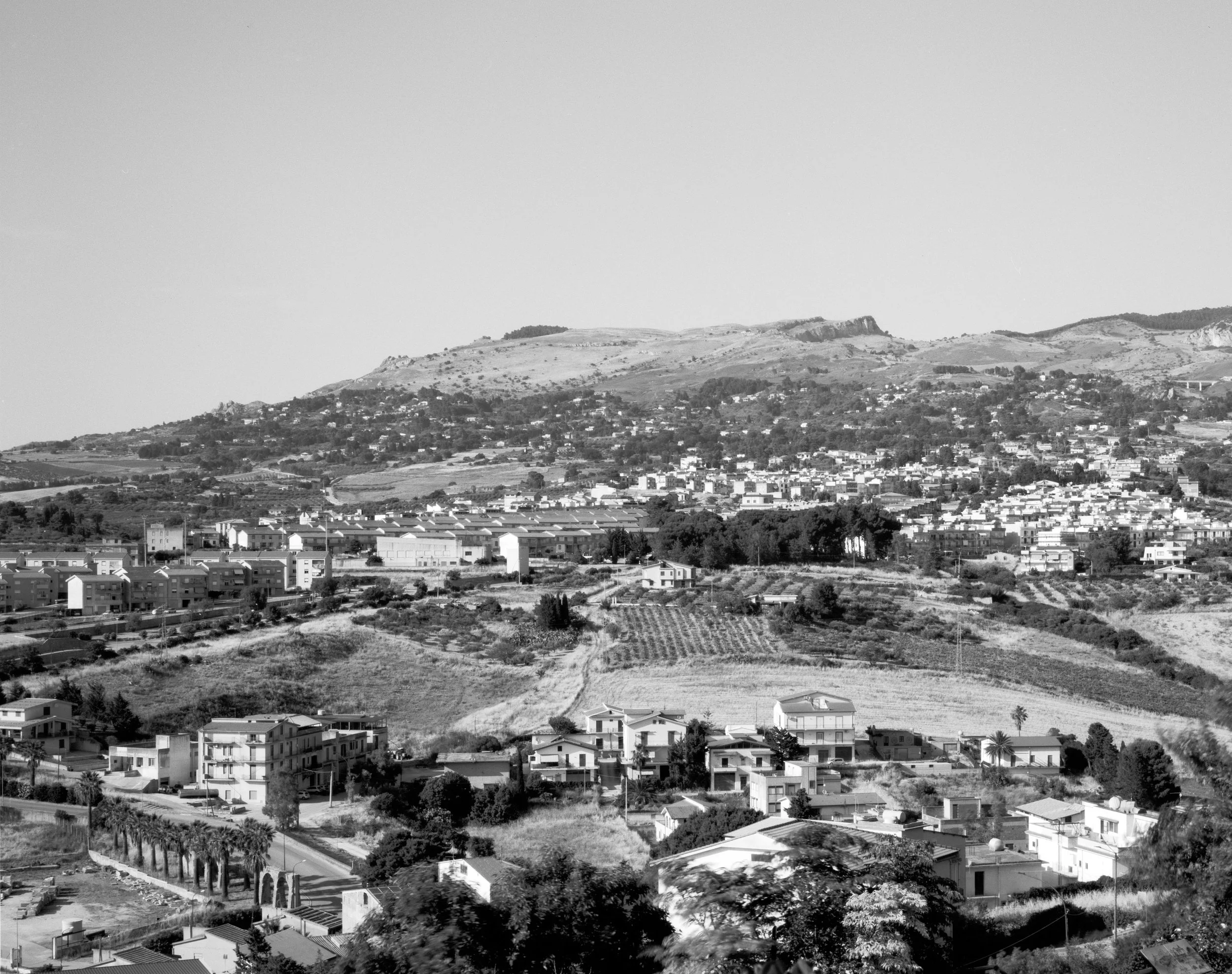 013_Sambuca 05_Cropped.jpg