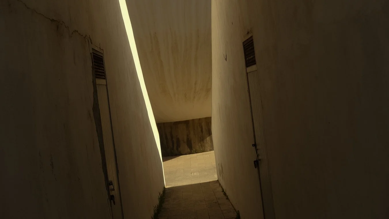 DSCF8557.jpg