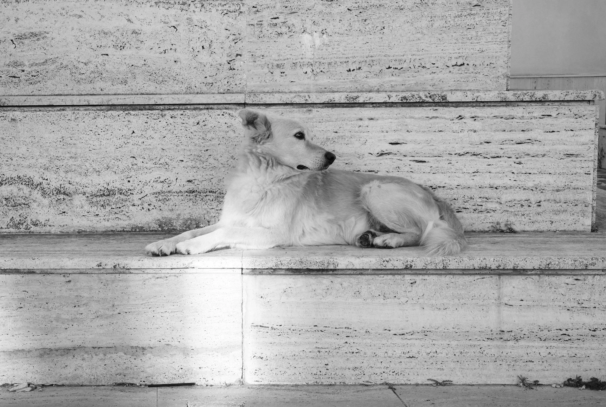 006_DSCF0416.JPG