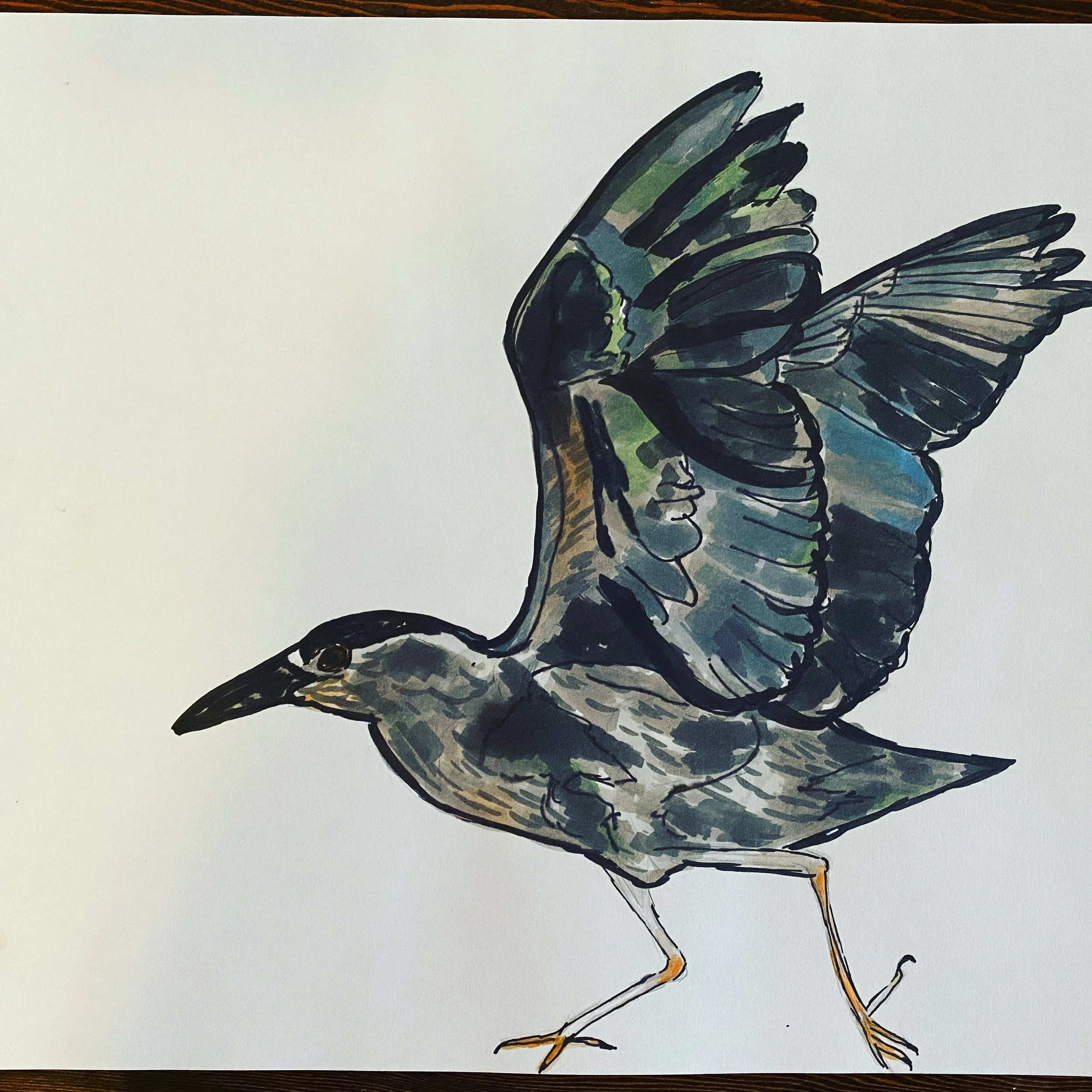 "Matthew"; alcohol marker. 2018?