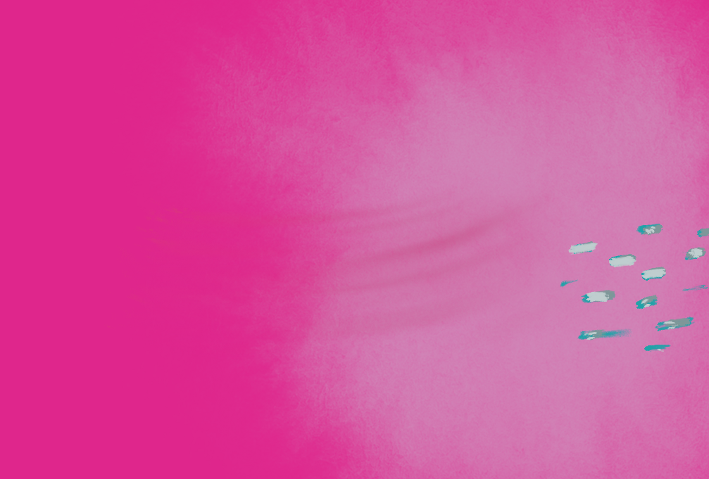 "Salmon run 2"; Procreate pocket 2020?