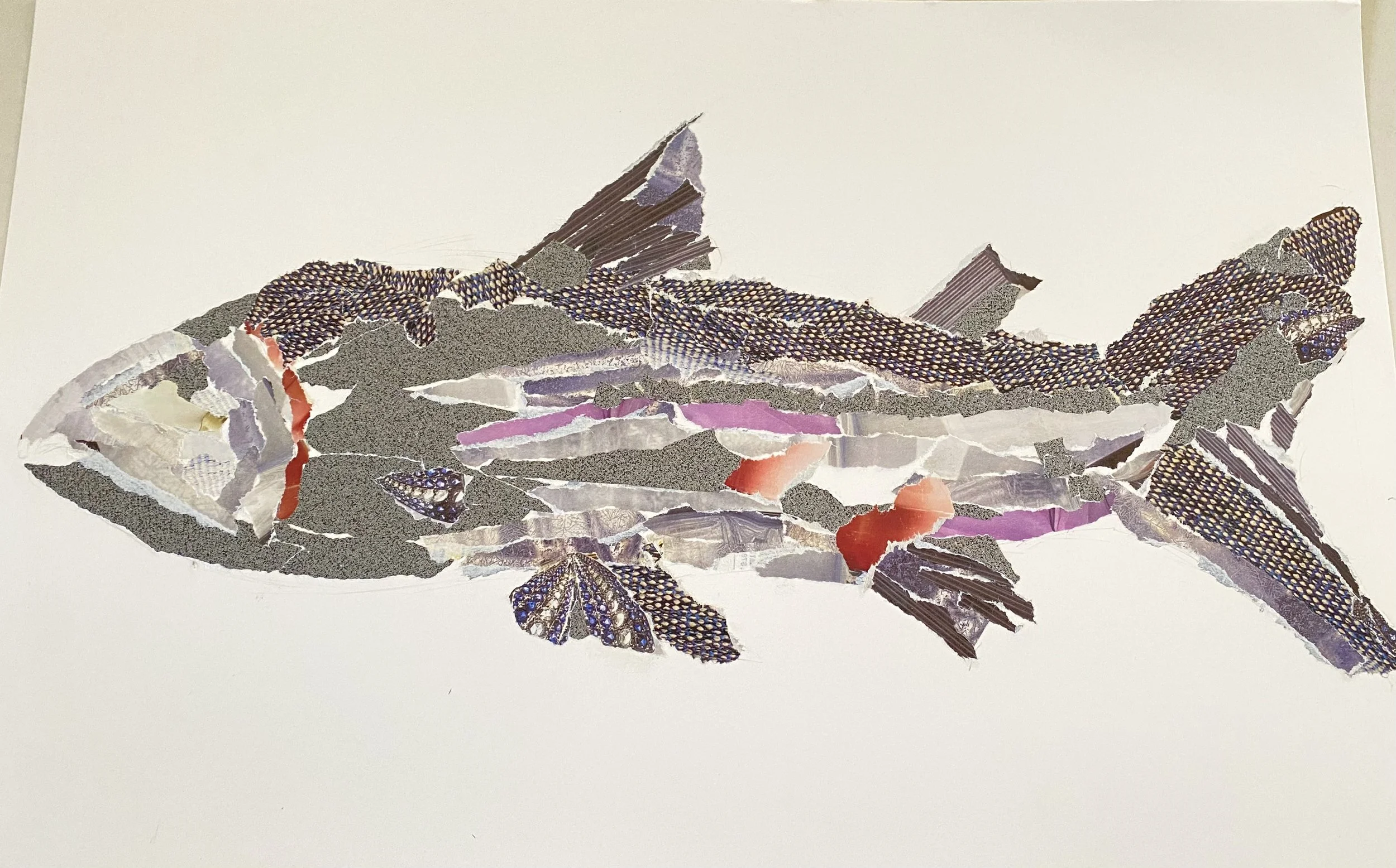 "Salmon"; paper collage and tinfoil; 2018?
