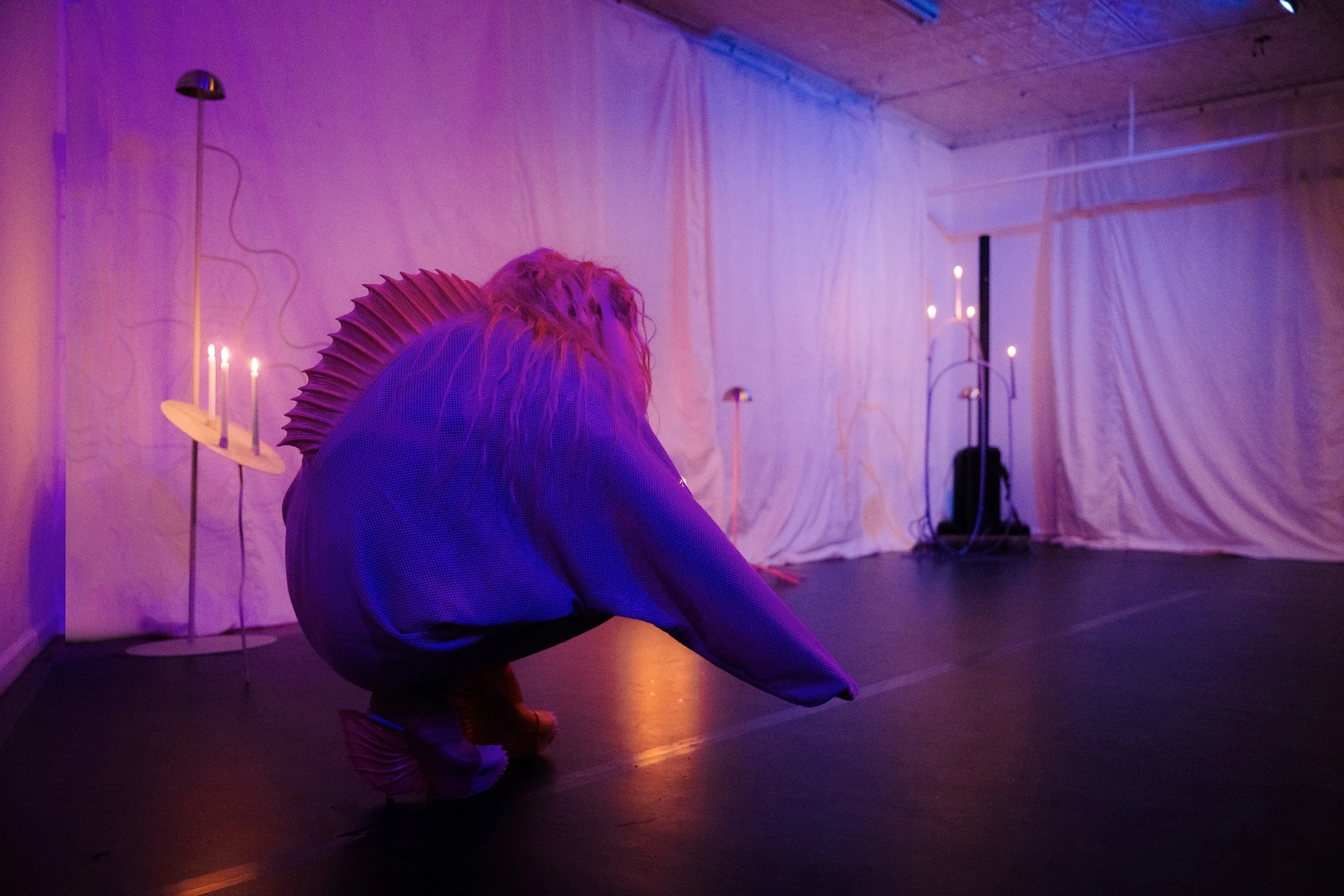 Equinox Performance for Four Wigs