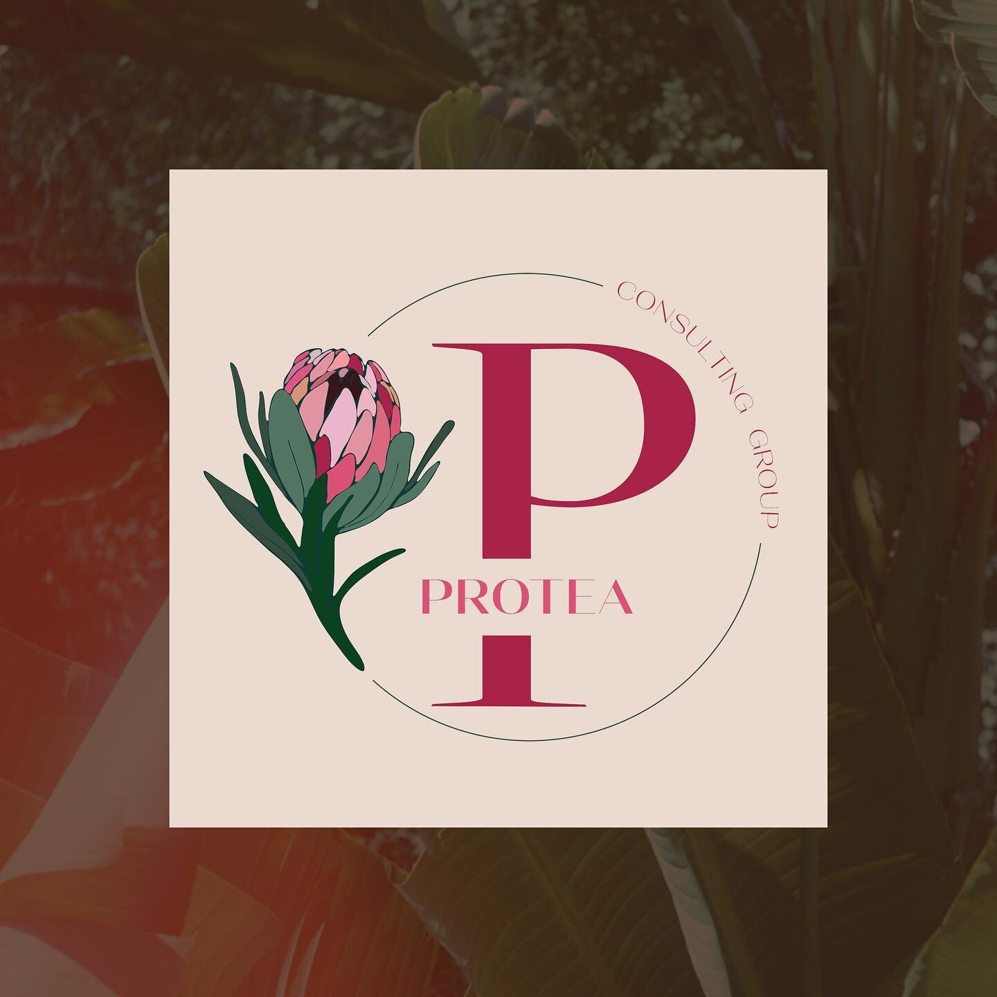 This branding project for Protea Consulting Group was such a joy! The client wanted a brand that embodied the principal values of her company - courage, diversity, transformation, and daring while also remaining wildly feminine. The protea flower is 