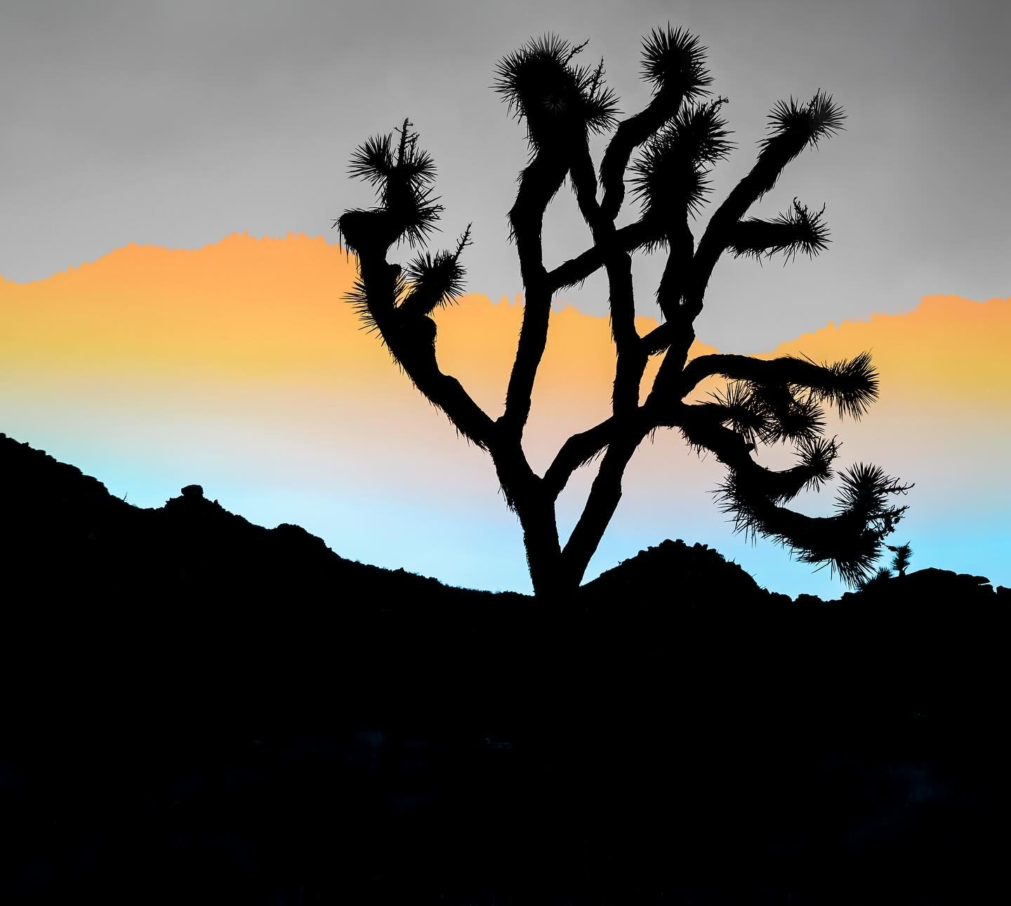 Shadows are moved by the light to a brighter day&hellip;

#overcast #edgeoftoday #artphotography