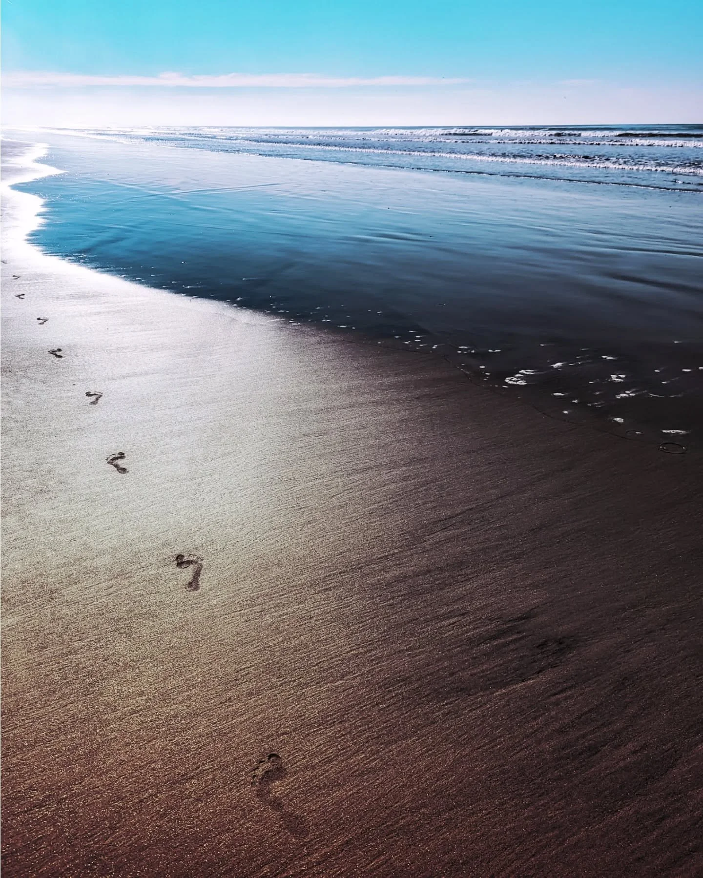 A new day... 

#seahorsesforever #flotsamandjetsam #tyche #simpleseashotsbytheseaside