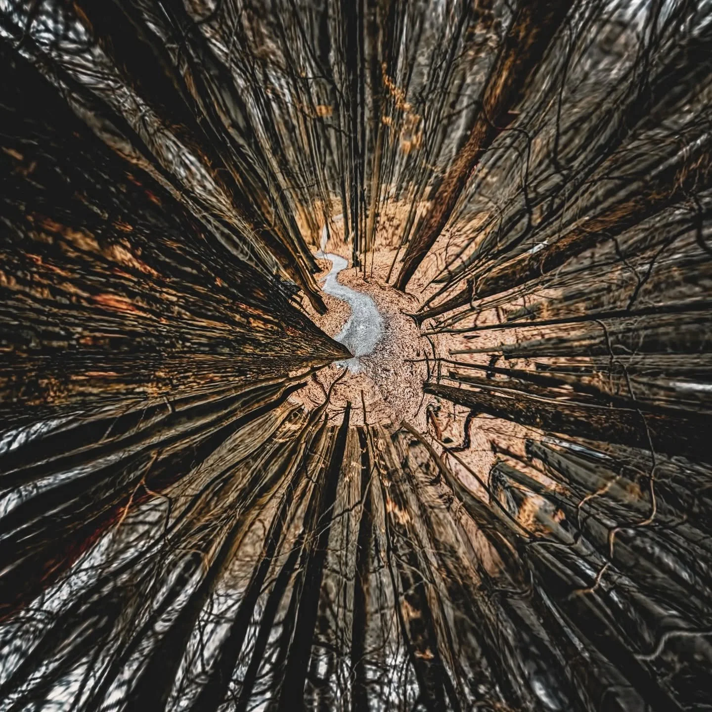 When it's getting dark, too dark to see... 

#freeyourself #asiftomorrow #tyche #artphotography