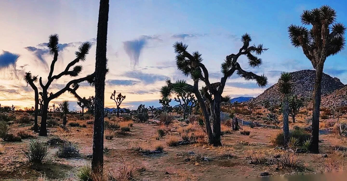 In the twilight, in the distance, I hear her voice singing to me&hellip;

#womanoftheroses #underwesternskies #artpohotography #tyche