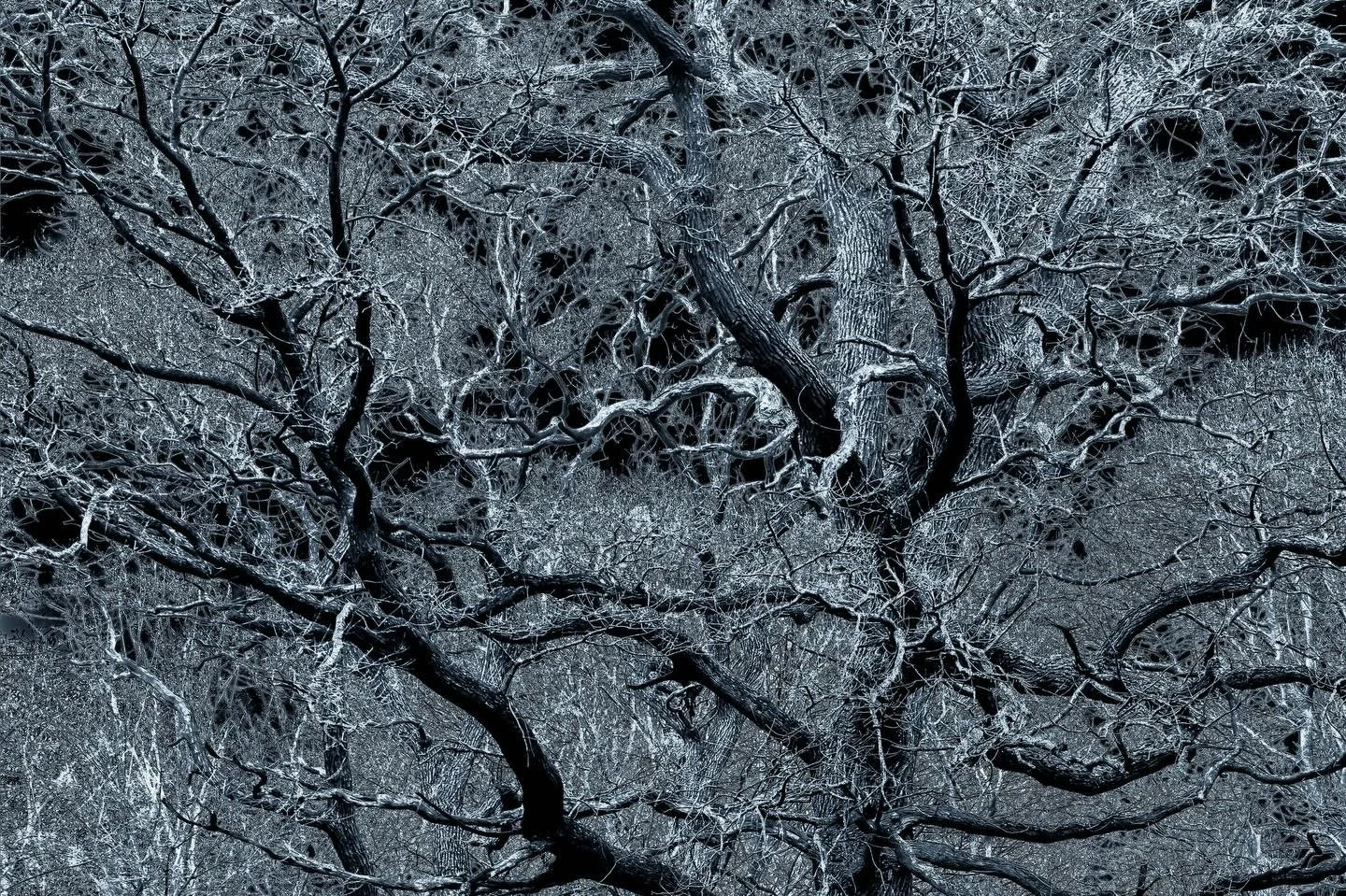 You against mine and mine against yours&hellip;

#tanglewood #underwesternskies #multimediumart #tyche