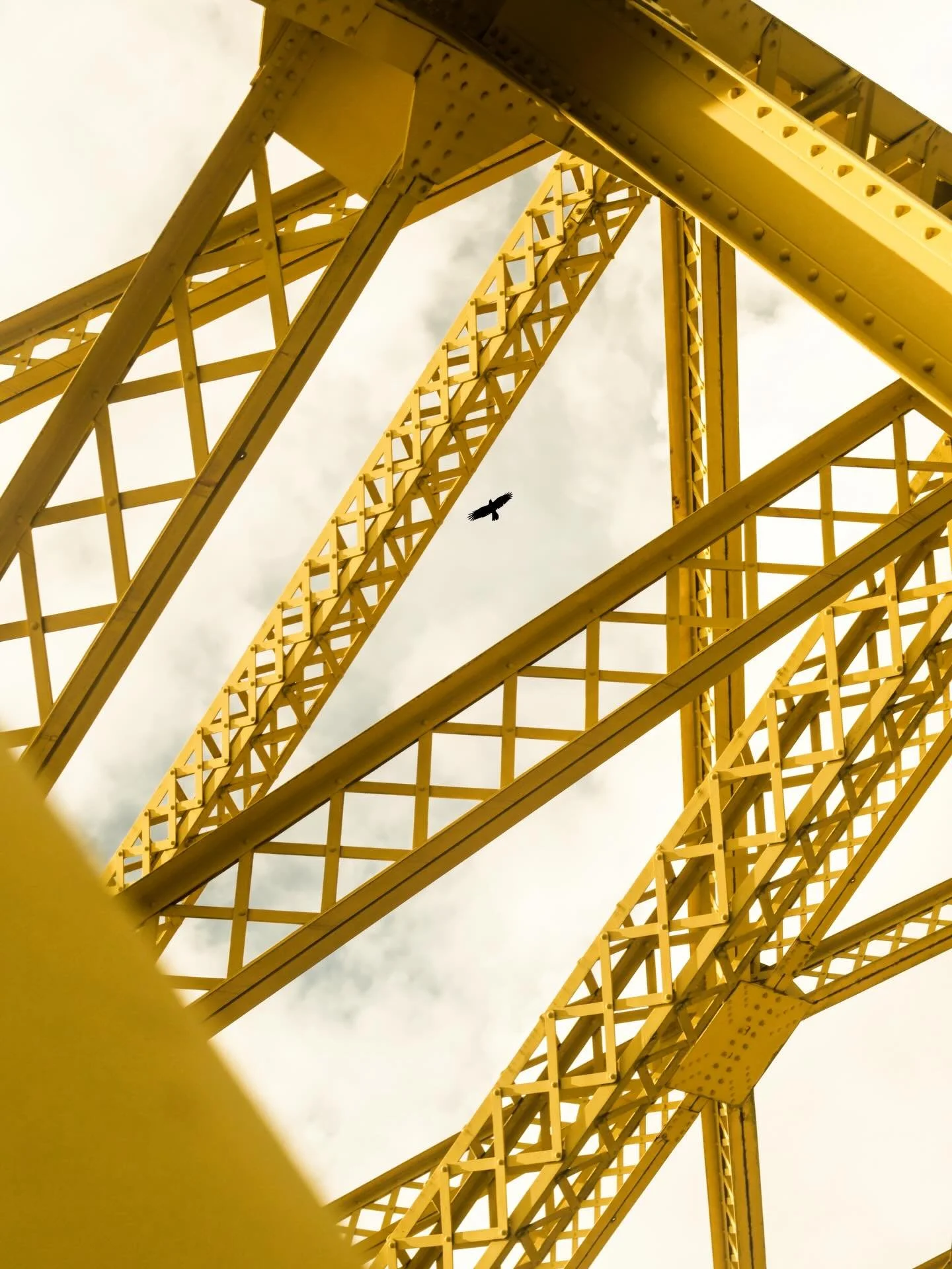 When bridges are no longer necessary&hellip;

#intheaeroplaneoverthesea #afterimage #multimediumart #tychesays