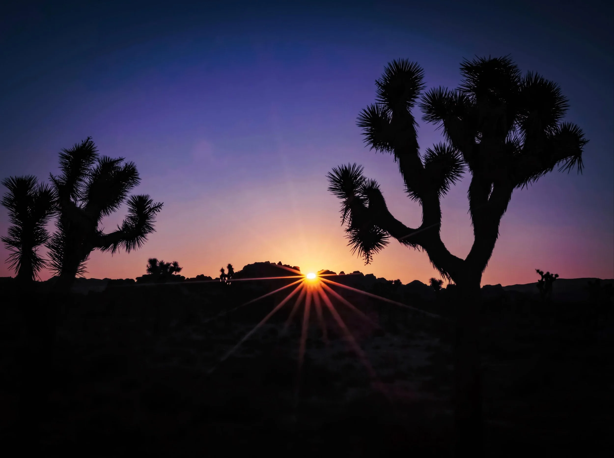 Sunrise or Sunset?  You would think they would look alike but they do not&hellip;

#asiftomorrow #multimediumart #tycheknows #sunriseorsunset