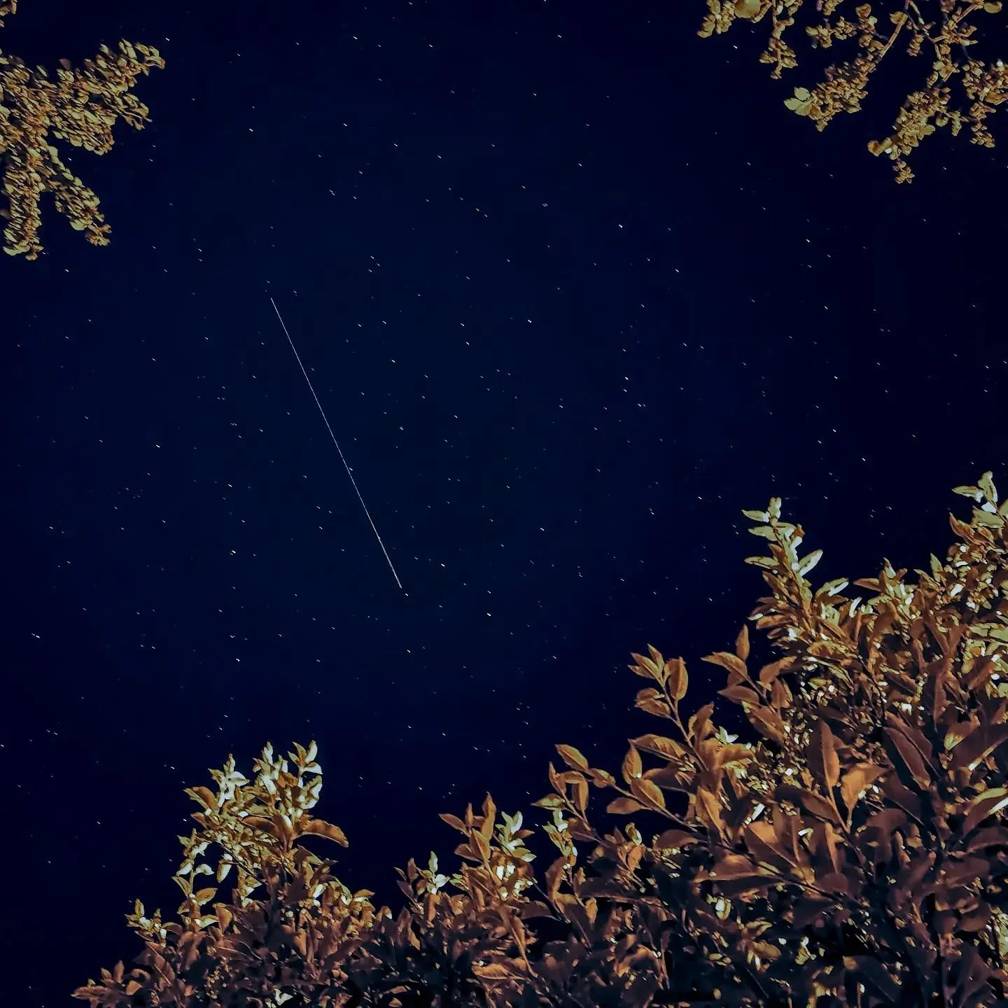 In the night the love will grow... 

#inthenight #asiftomorrow #multimediumart #tyche