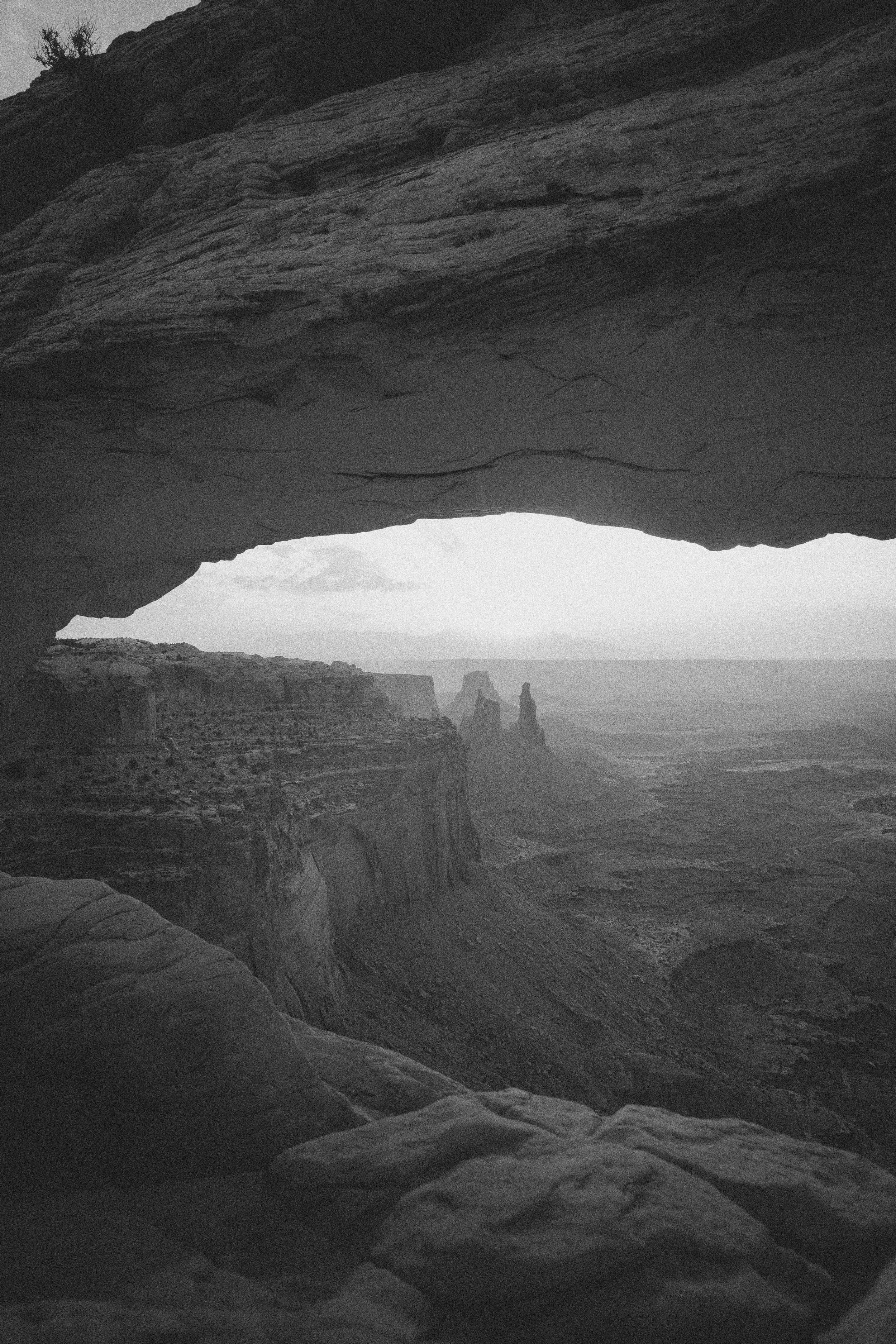 davey-gravy-4IoPLdTD5c8-unsplash copy.jpg