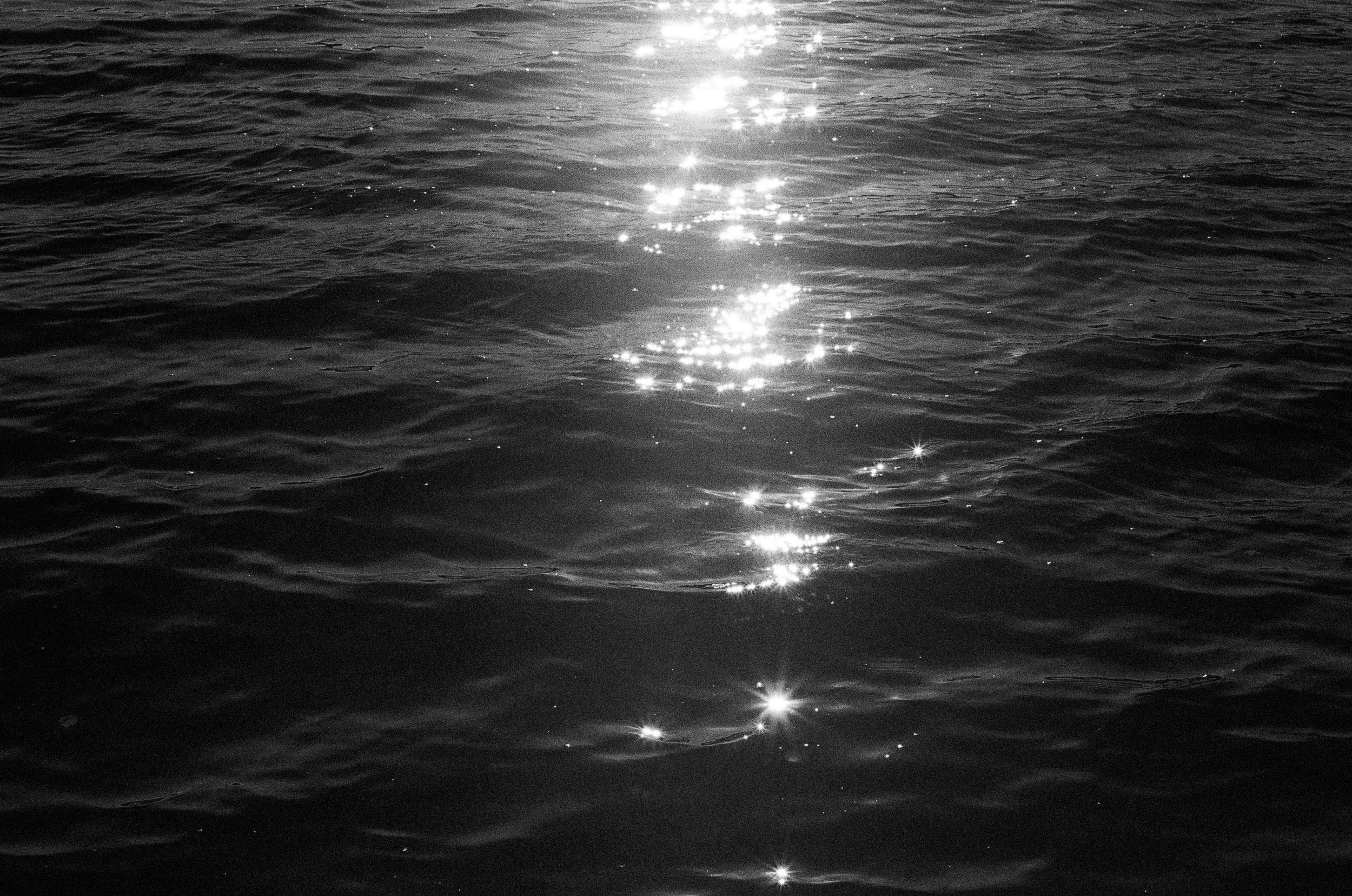 hans-ziRixuBlfQ8-unsplash copy.jpg