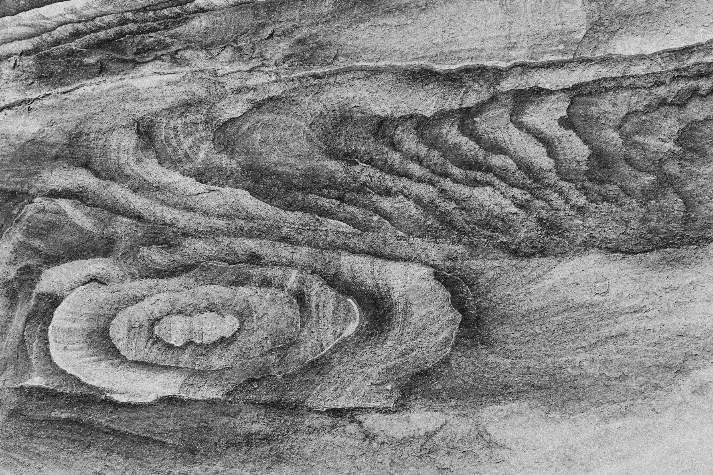 damir-kalic-GZDMZT3vFbU-unsplash copy.jpg