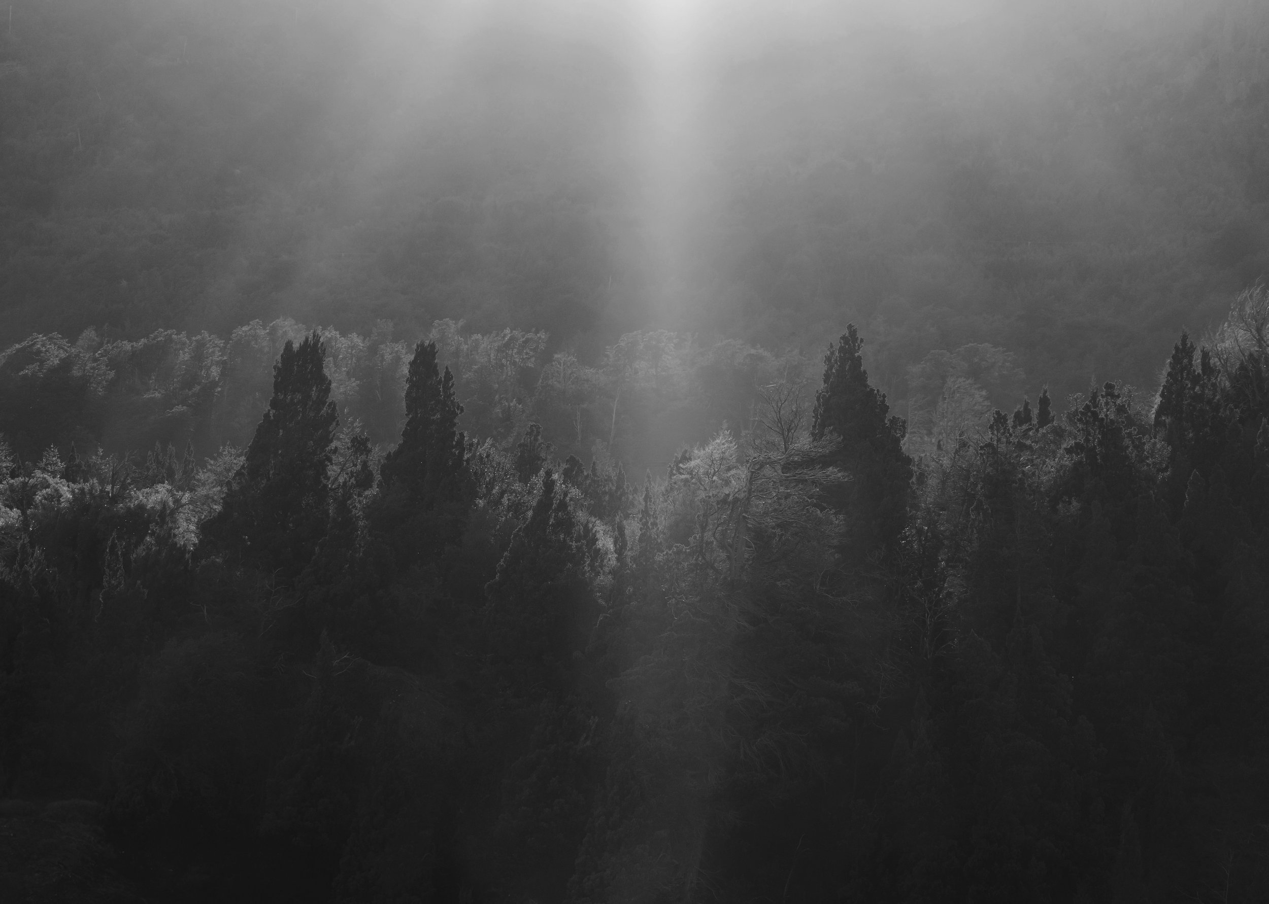 gaspar-zaldo--fg1HXSUBAg-unsplash (1) copy.jpg