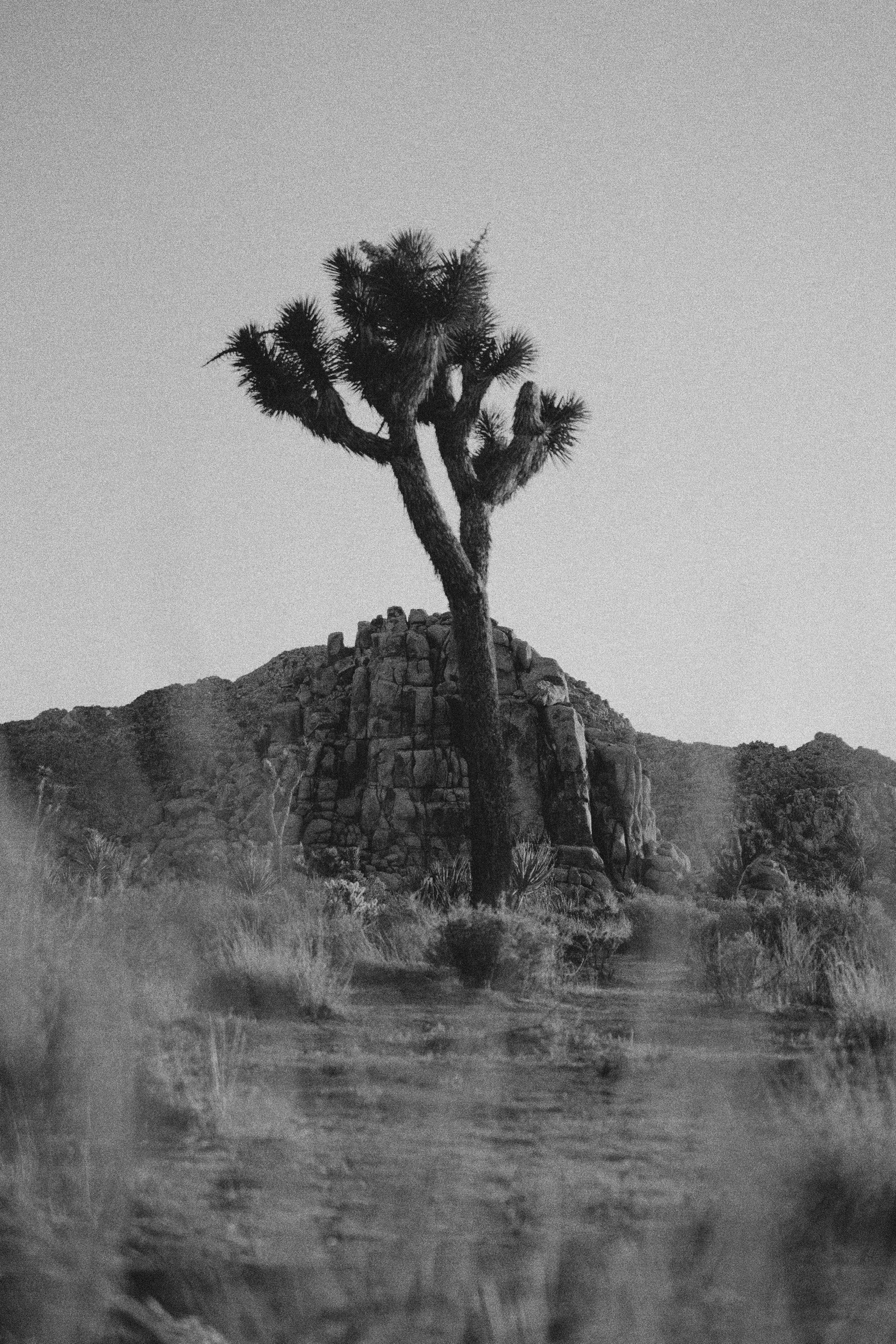 andrew-spencer-vLPTMmPRYkY-unsplash copy.jpg