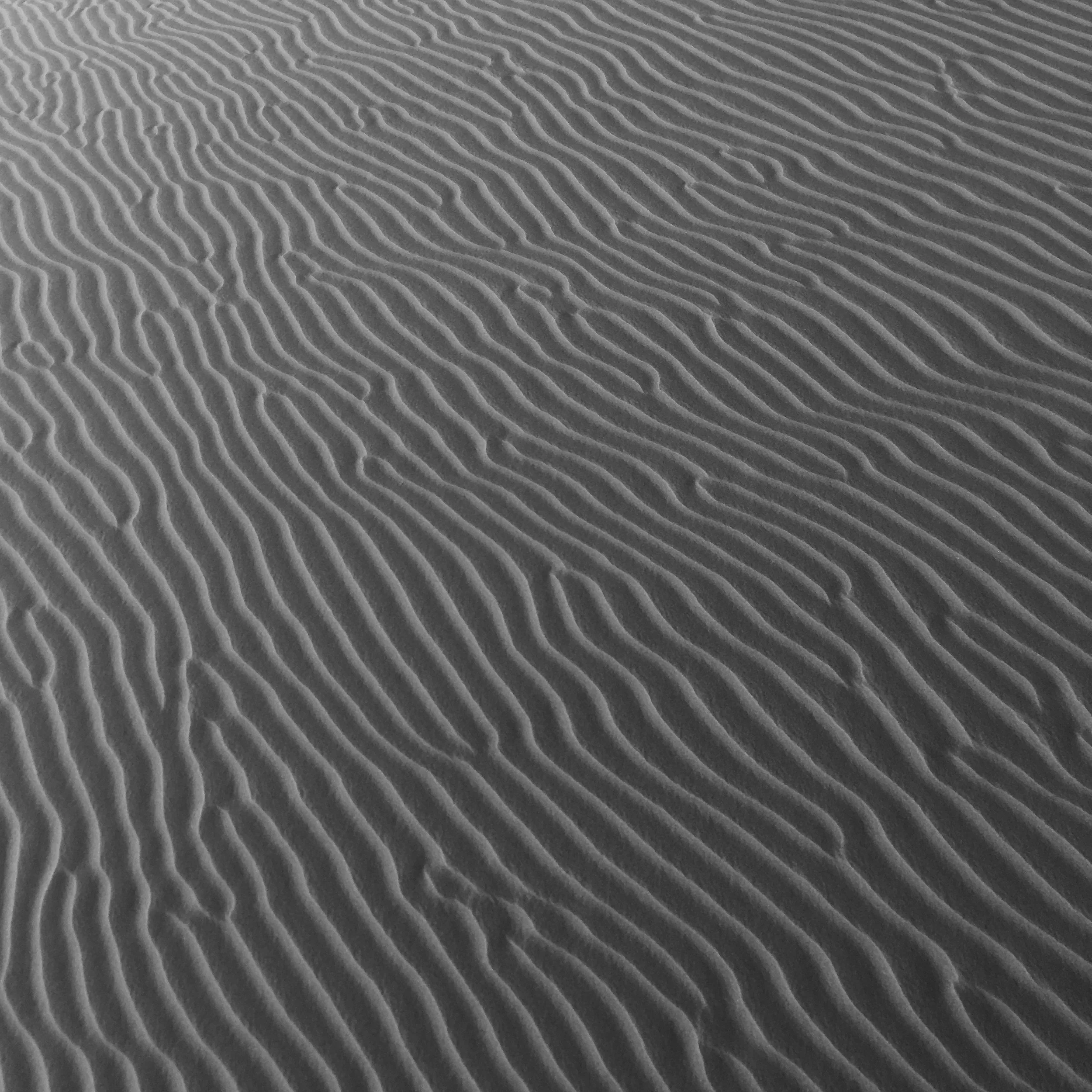 denis-go-ad9MBbHyHzM-unsplash copy.jpg