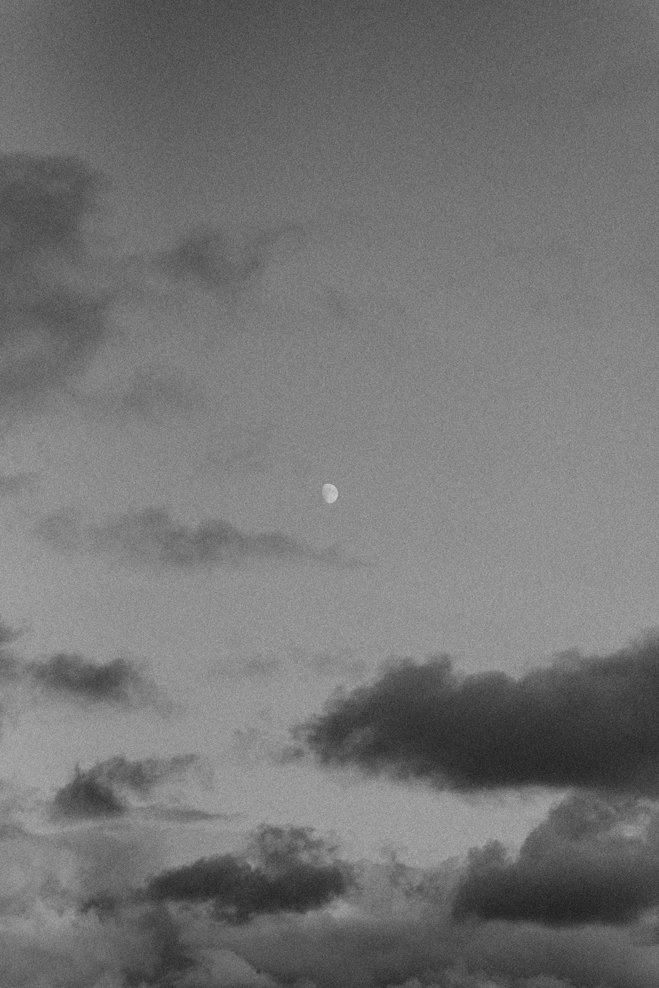 frosty-ilze-xRsoJ311Bsk-unsplash copy.jpg