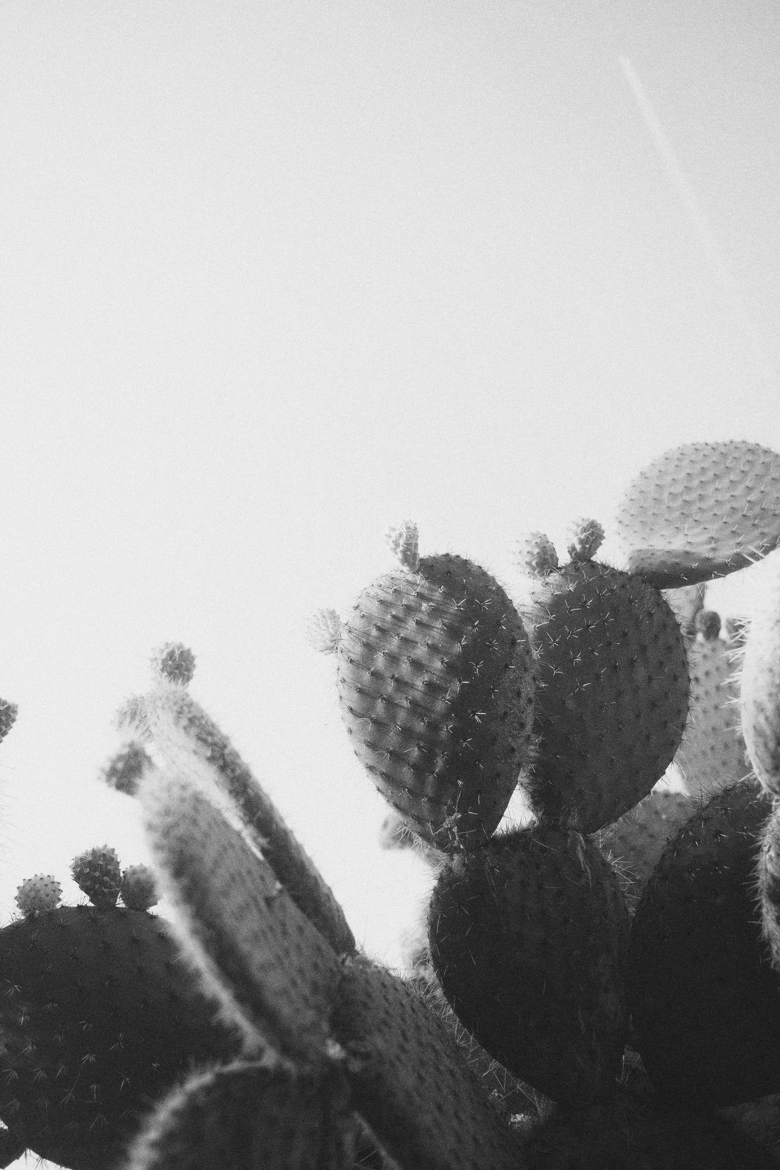 ingmar-h-7MeVVBM0MR8-unsplash copy.jpg