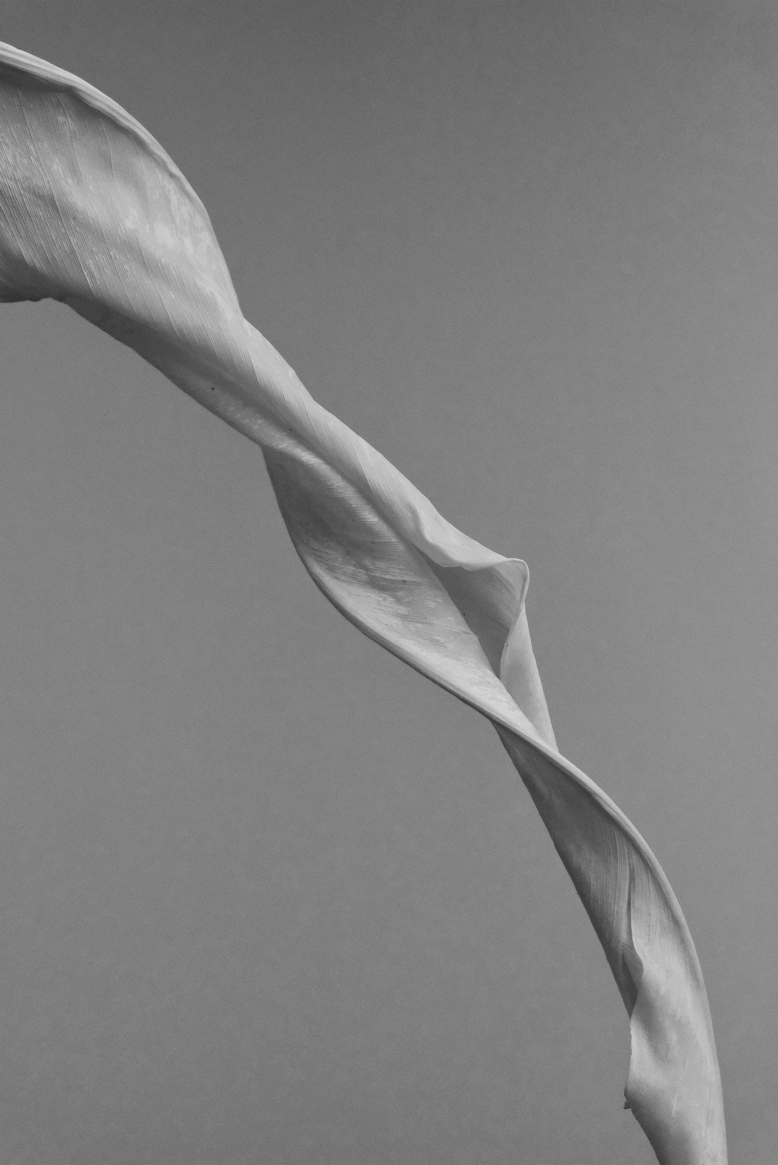 j-m-jqszPcCv5eA-unsplash copy.jpg