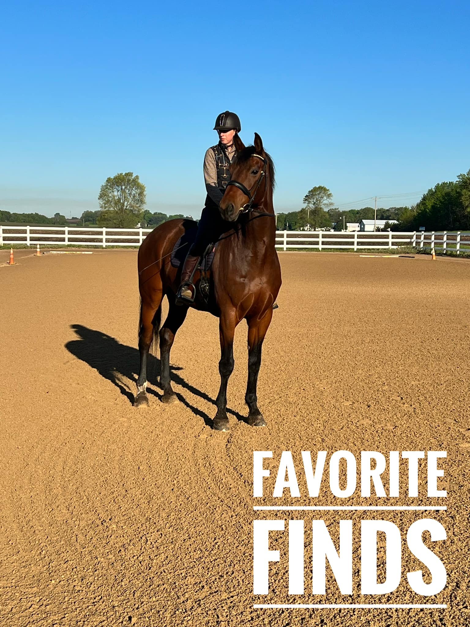 Favorite Finds Week Five