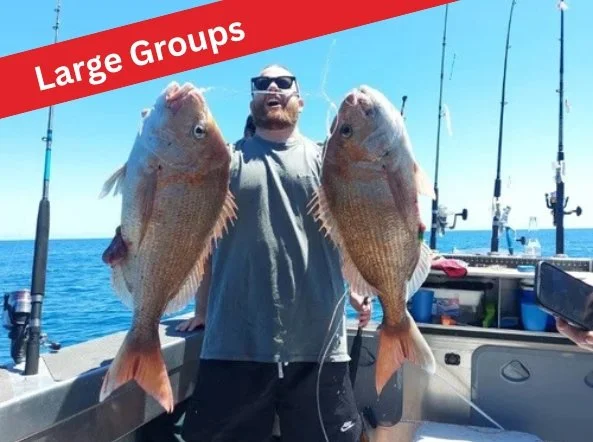 Option 7: Larger Groups - 15 People Plus