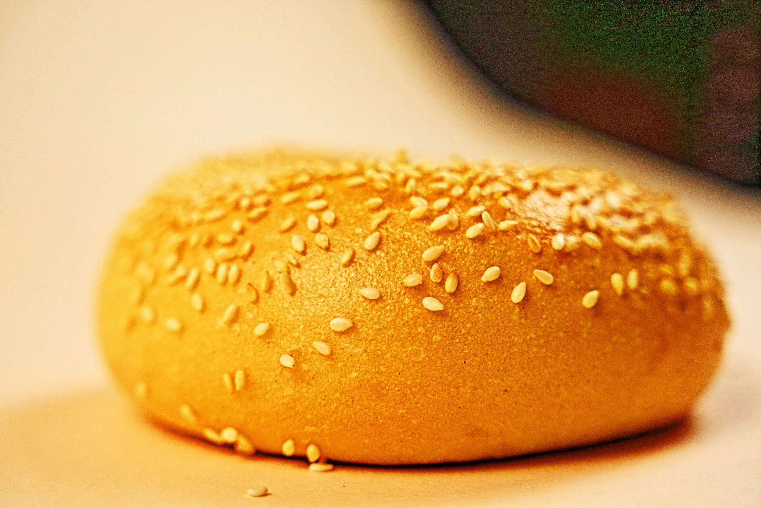 SesameBagel.Background4.JPG
