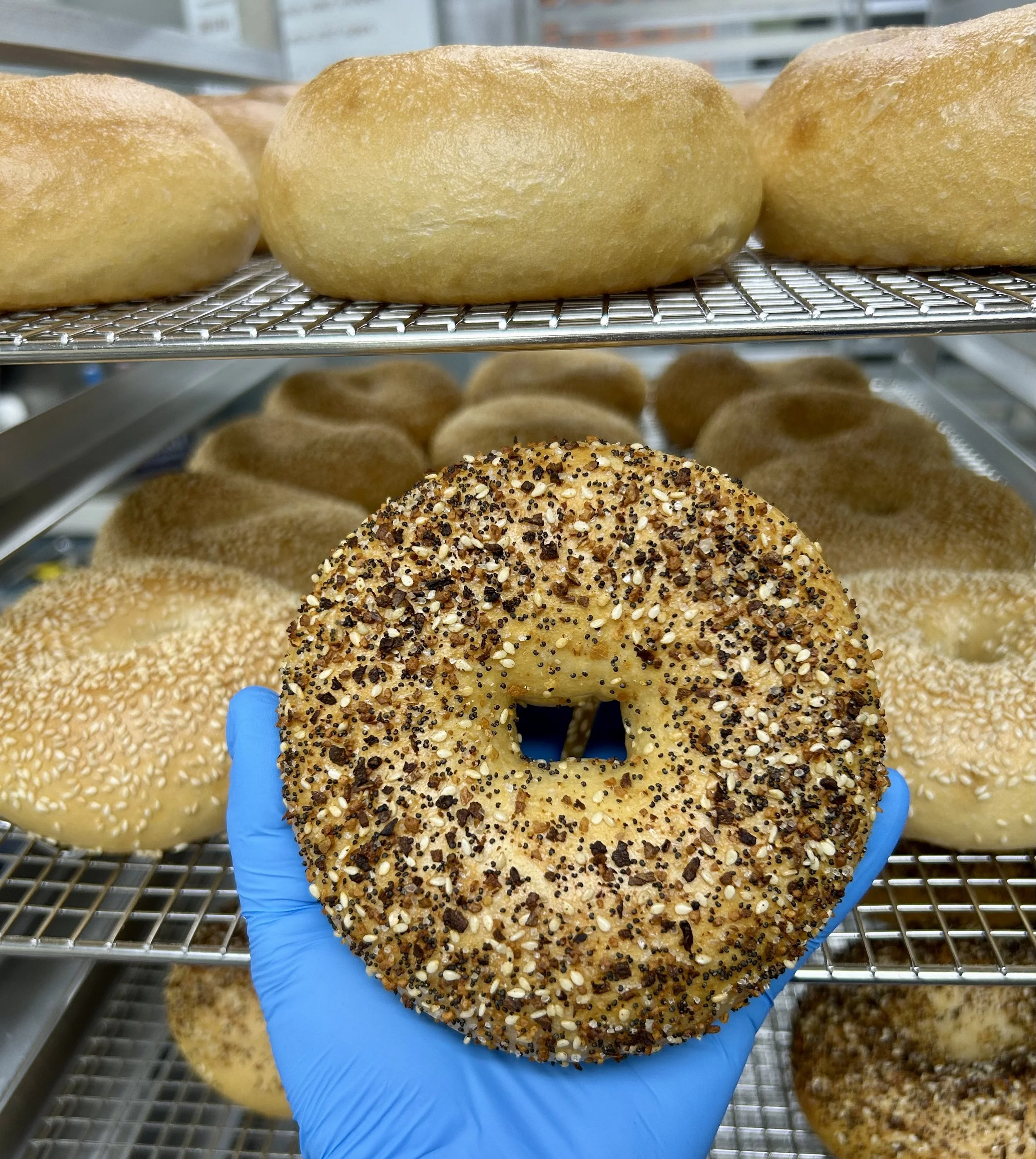 New York-Style Bagels