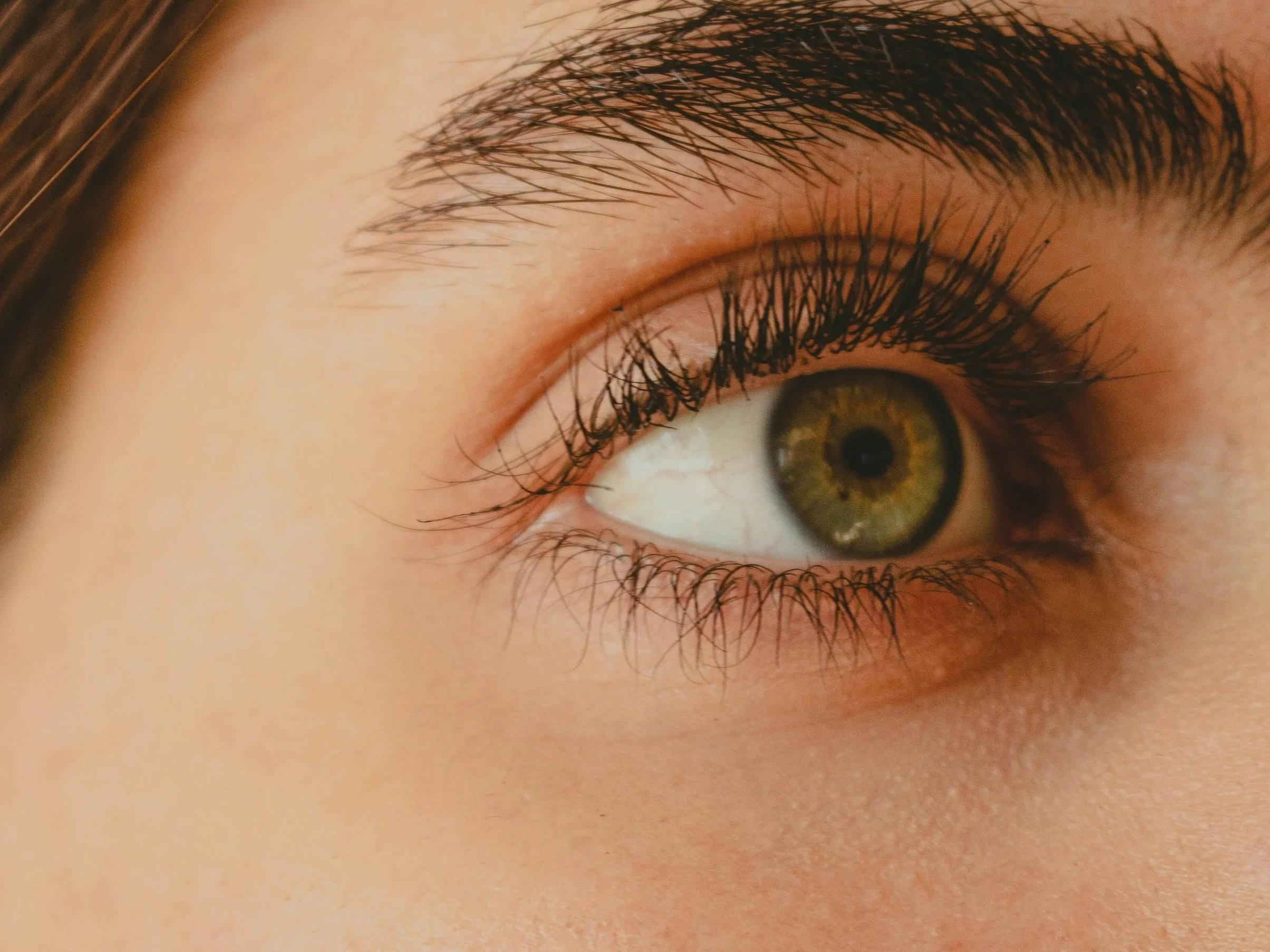 ali-shoaee-SdStLjkoWXM-unsplash.jpg