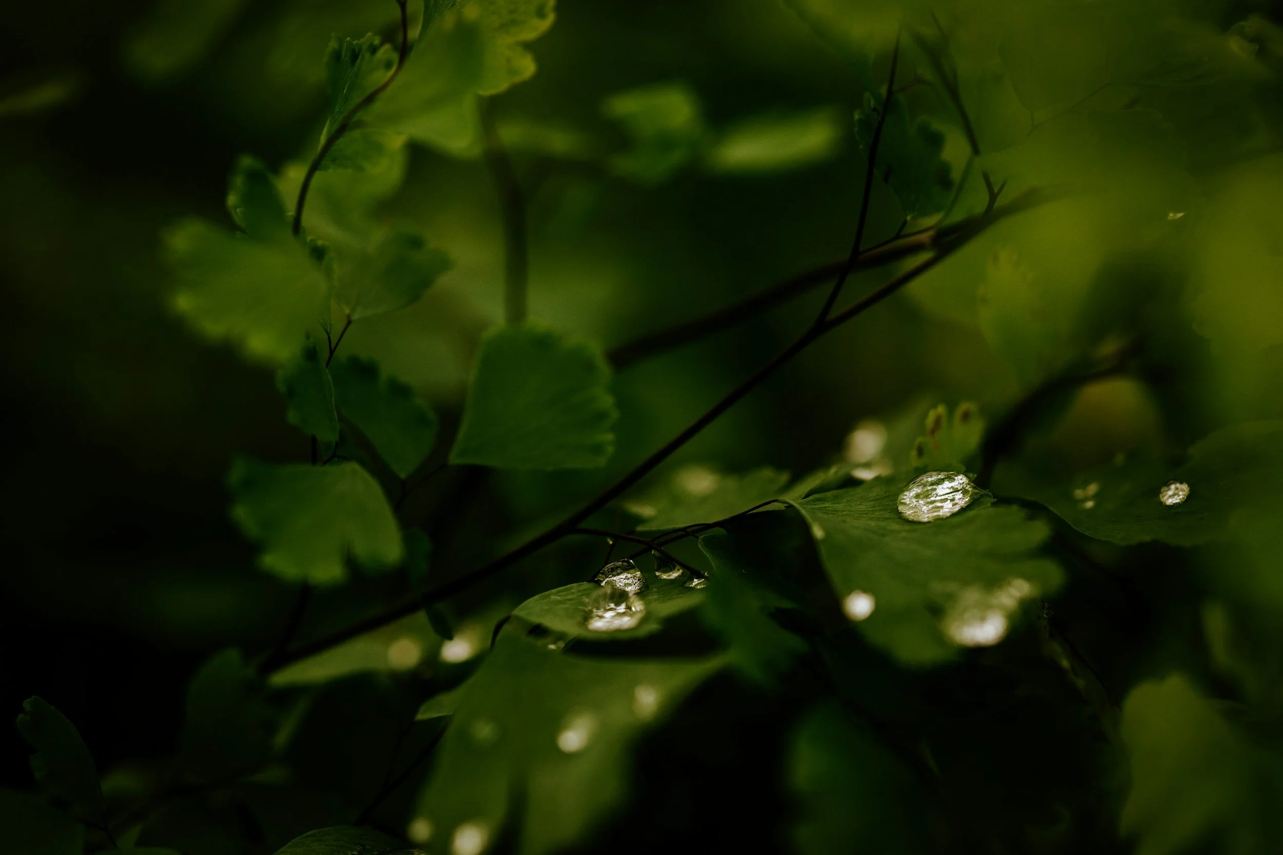 unsplash-image-T3IkCyyK0Mk.jpg
