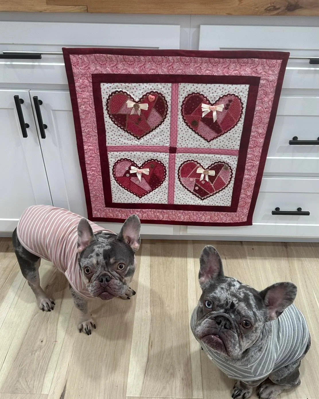 Today is National Inspire Your Heart with Art Day. How fitting that I finished my first quilted wall hanging today 😁 Memphis and Vegas are not impressed. (They just want a treat. 😂)