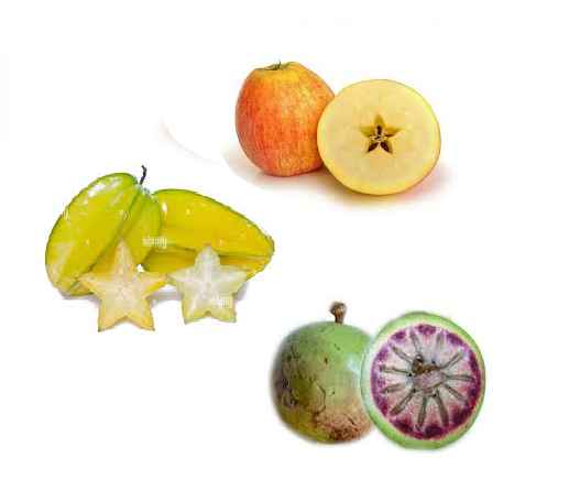 Aesthetics of Magick II