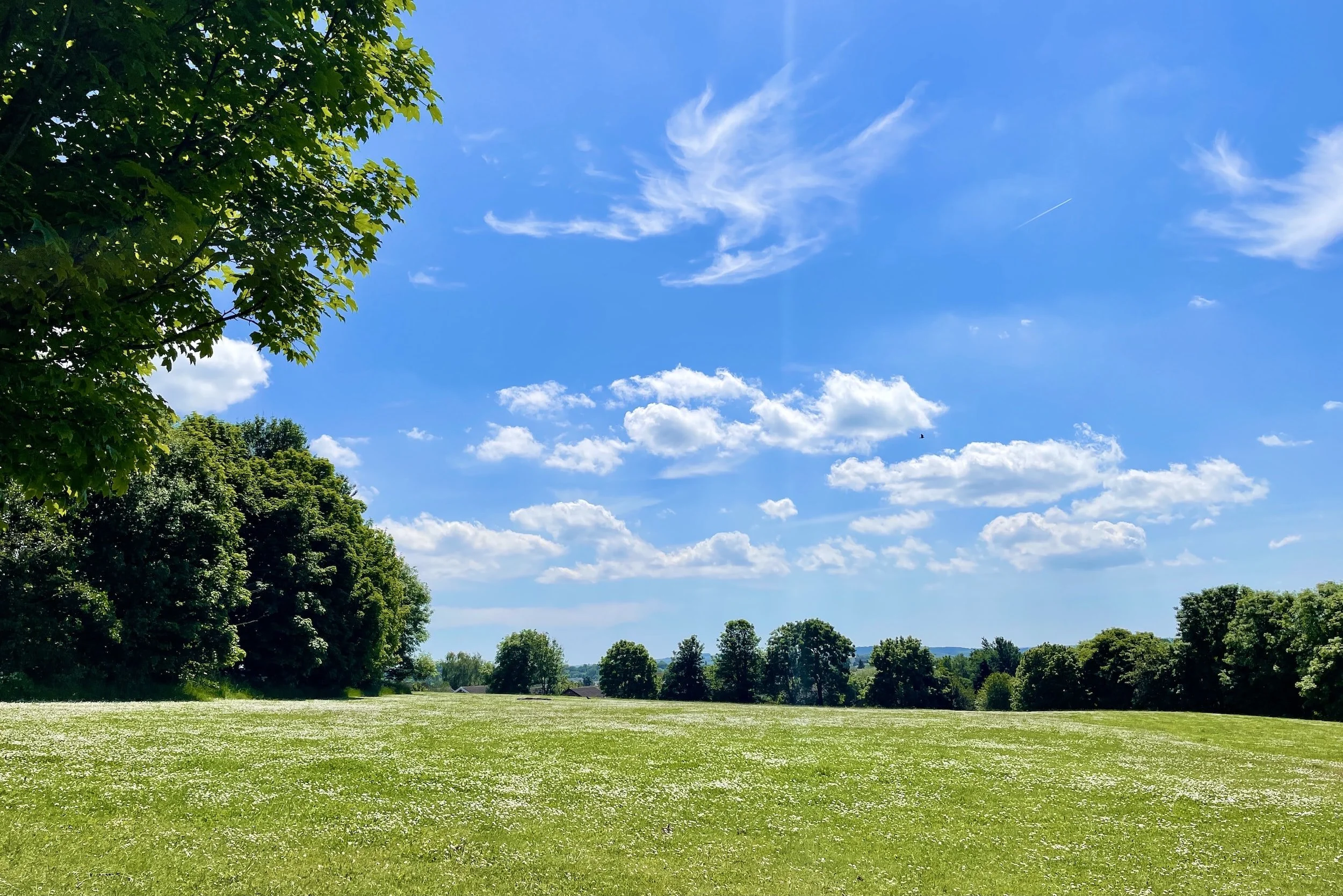 Spirit of Place XXXIV