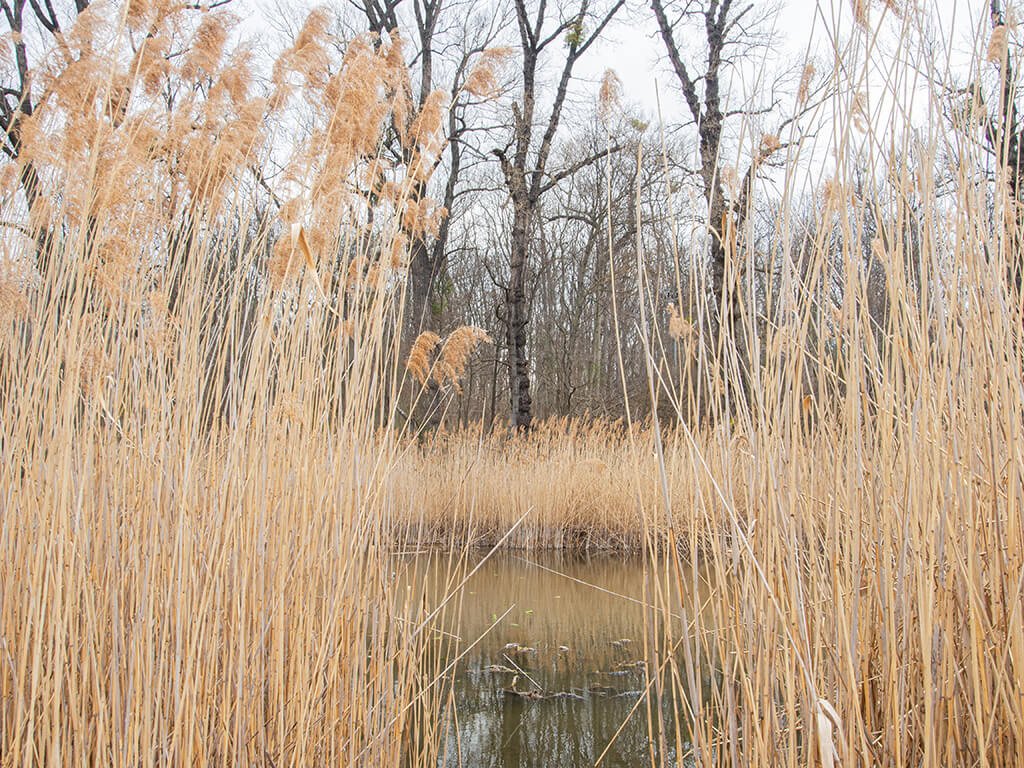 GWS_ClimateWalk_Lobau20220327018.jpg