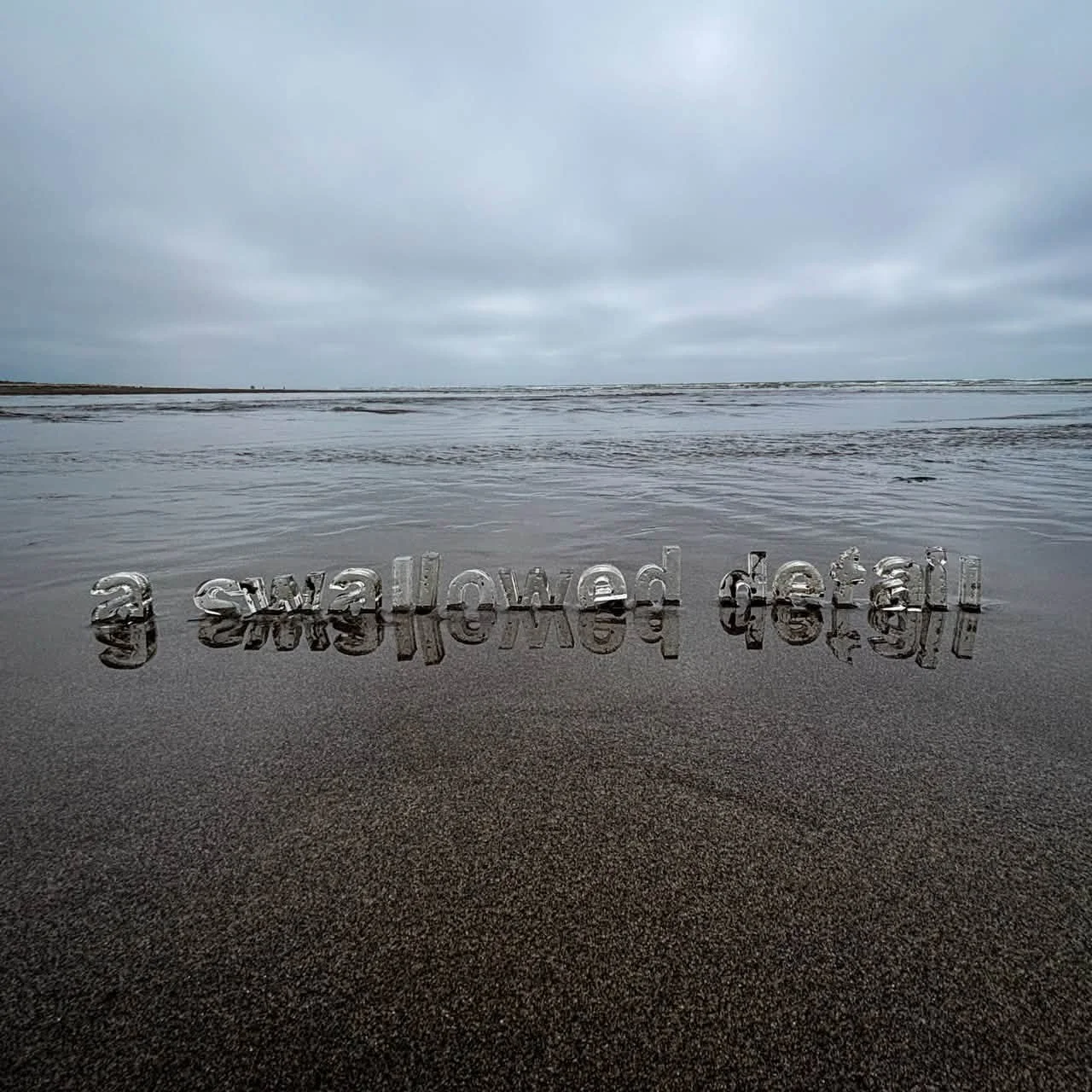 immersive text