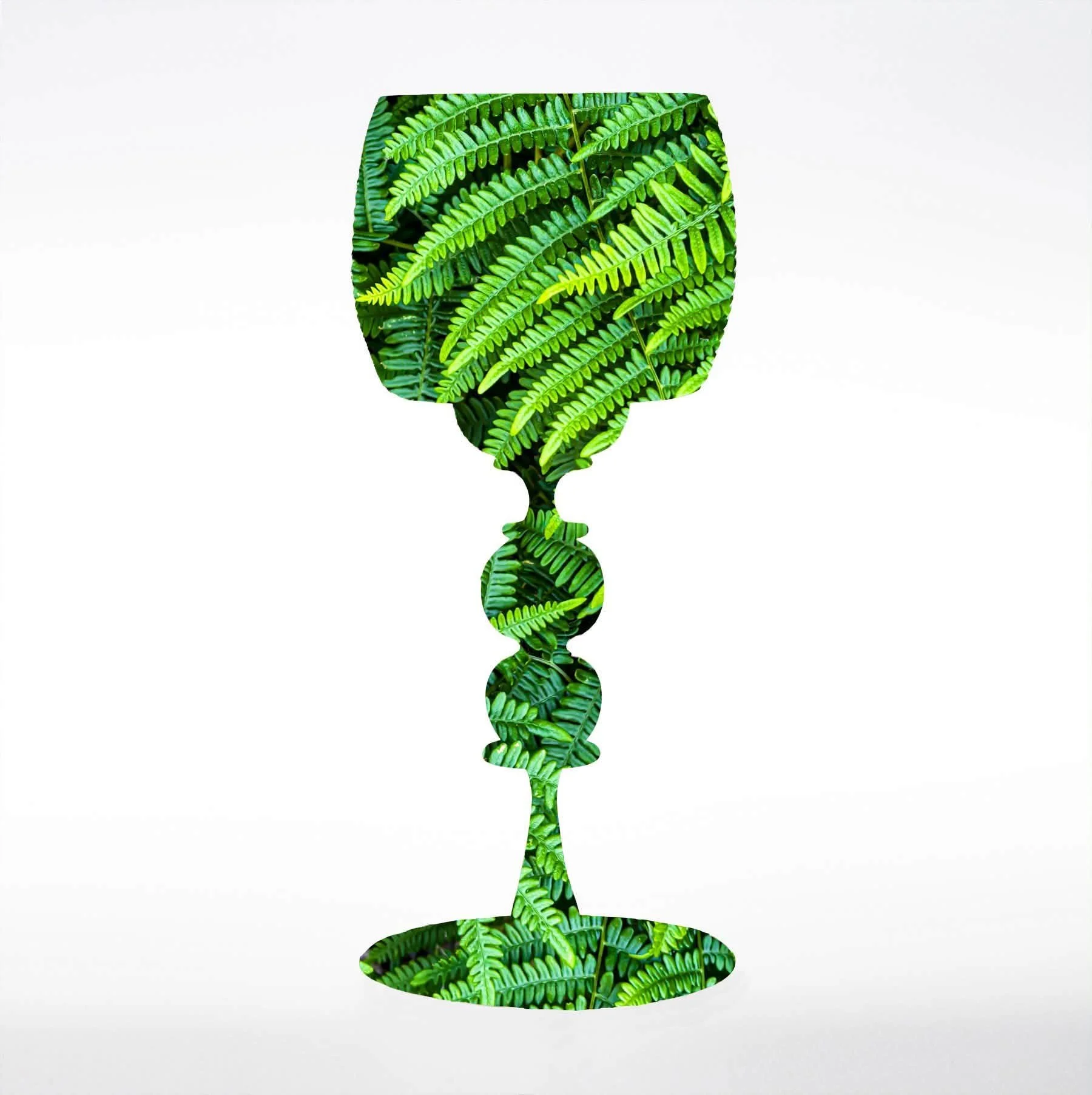 fern cup