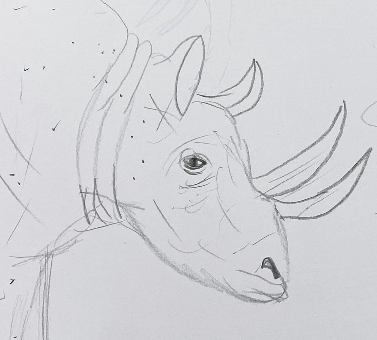 Two takes on the same rhino drawn in minutes by our fourth graders.