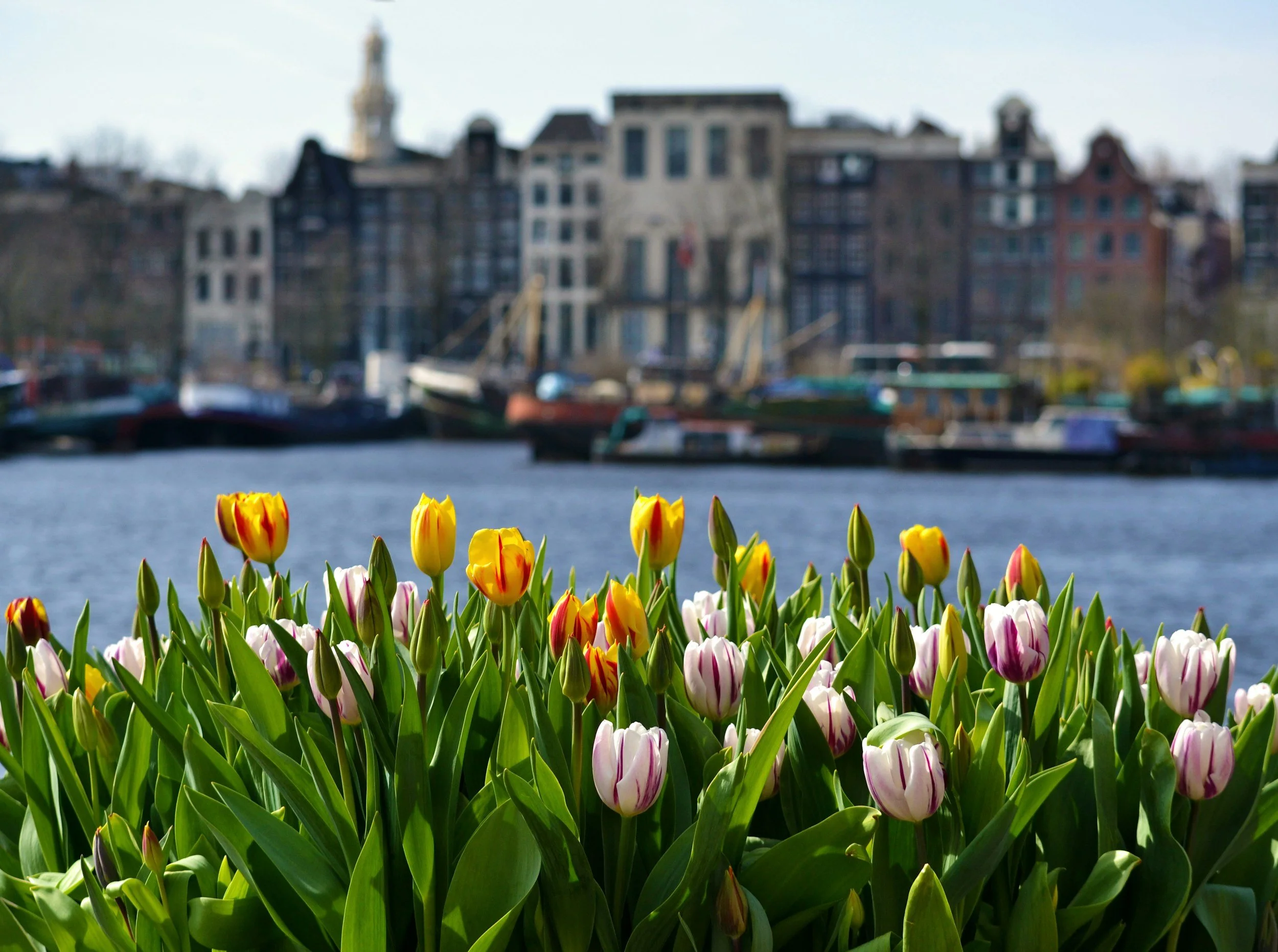 Cracking the April Travel Code: How to Choose YOUR Perfect Escape