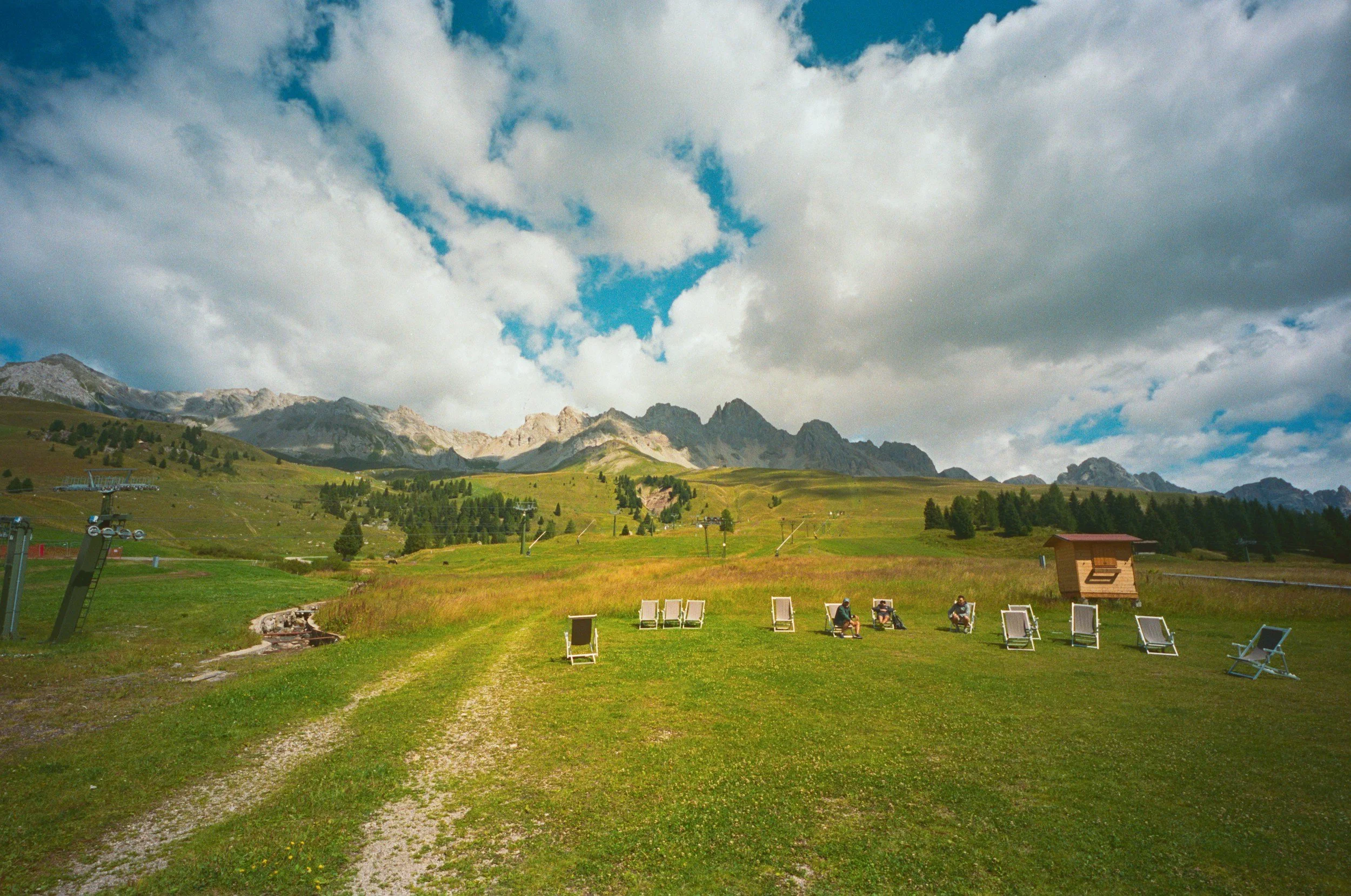 Mountain meadow with wildflowers and alpine peaks in the Swiss Alps