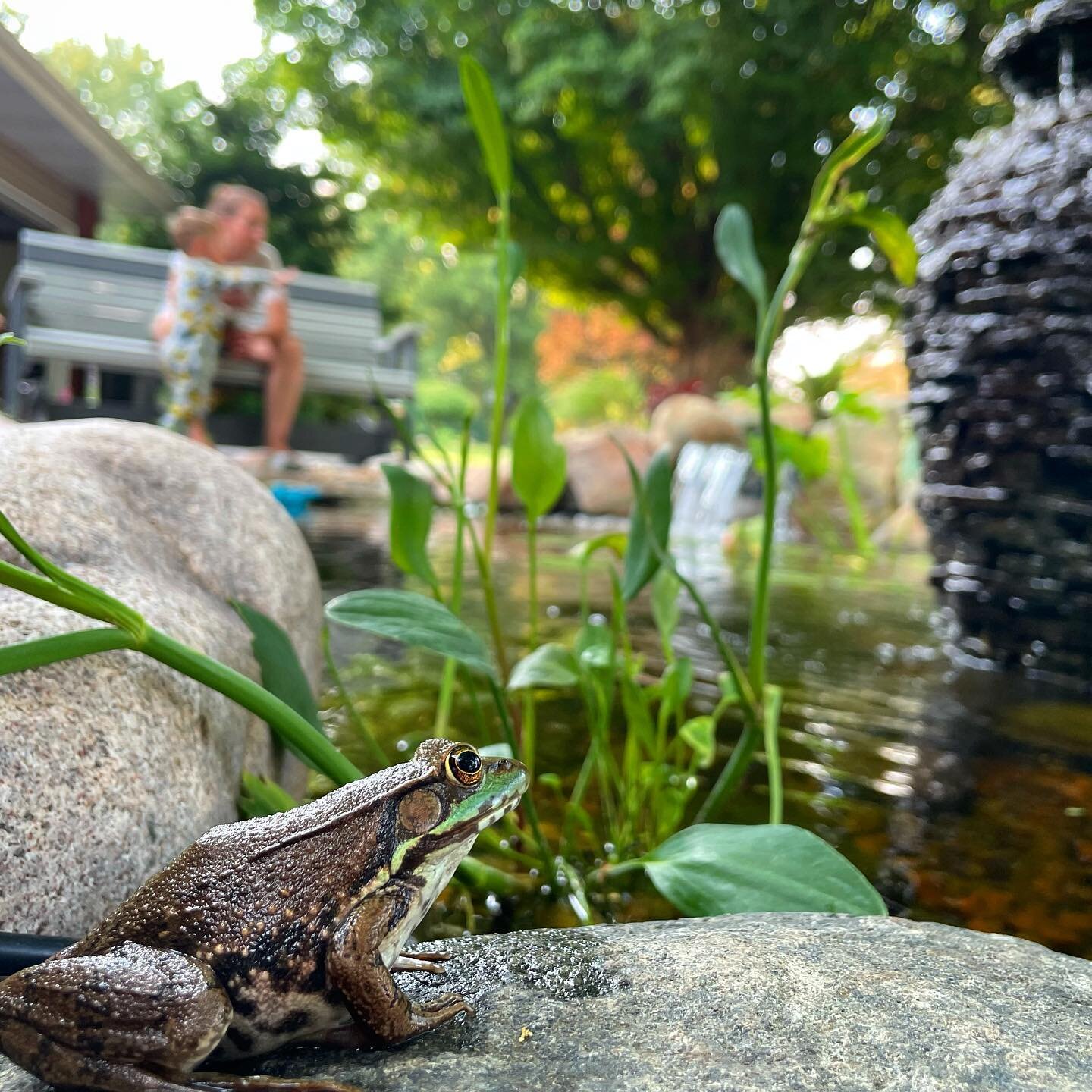 Say hello to my little friend! I&rsquo;m not sure who&rsquo;s more excited, me or my kids🐸 #pondlyfe