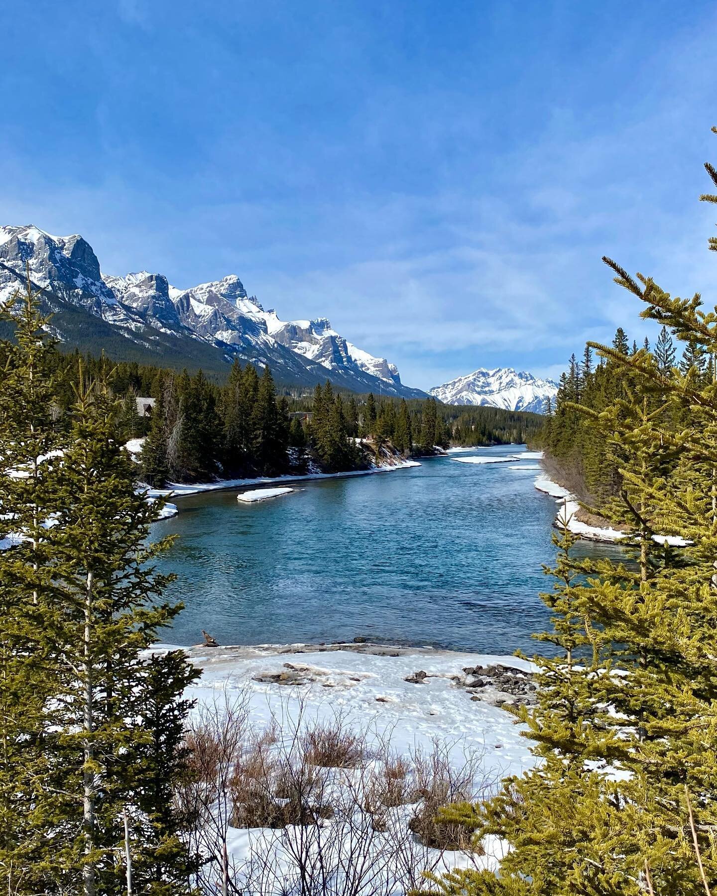 Impromptu trip out to Canmore for a sunny walk! Soaking up these spring-like temperatures 😎