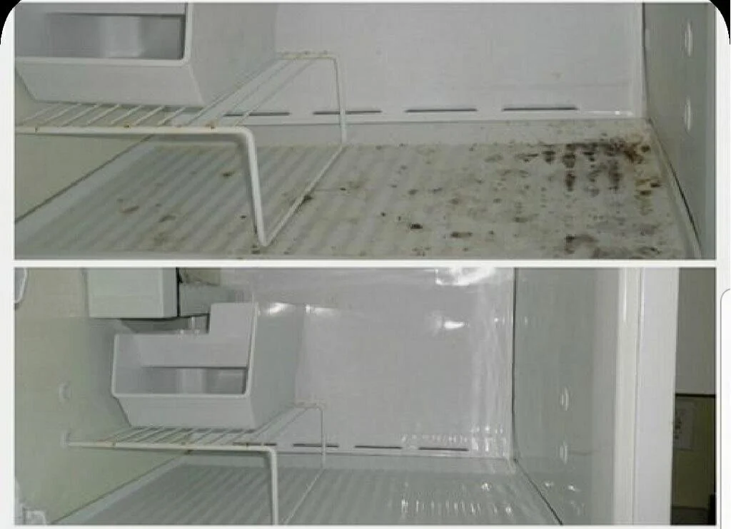 Comparison of an empty, dirty refrigerator bottom with a clean, spotless refrigerator bottom.