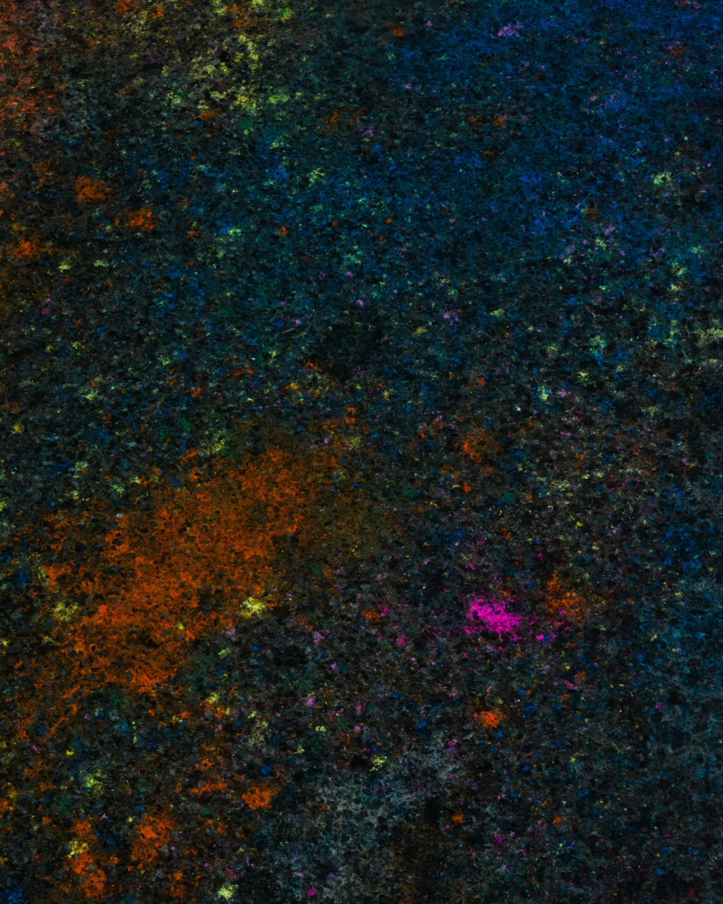 DSC_1183.jpg