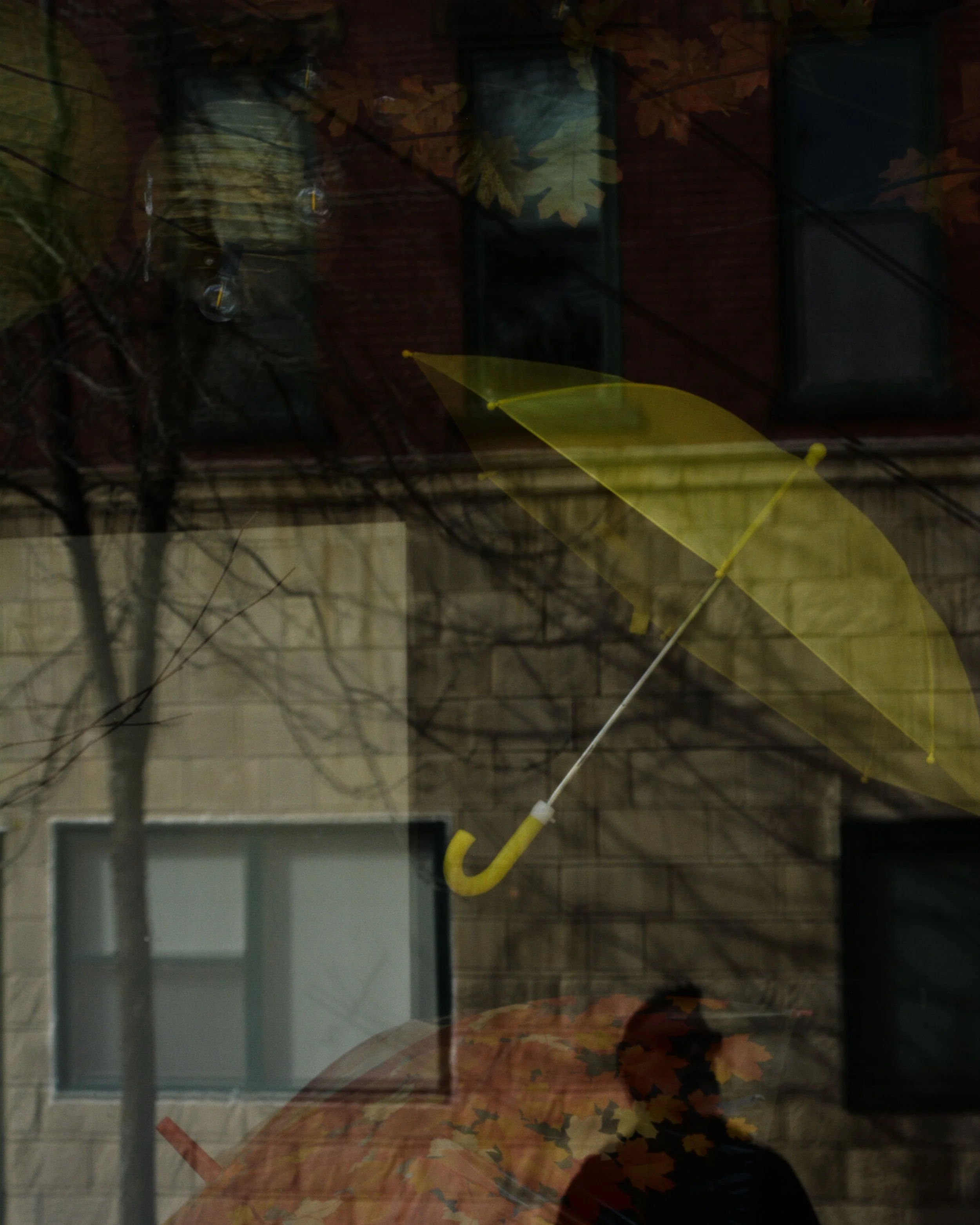 DSC_1717.jpg