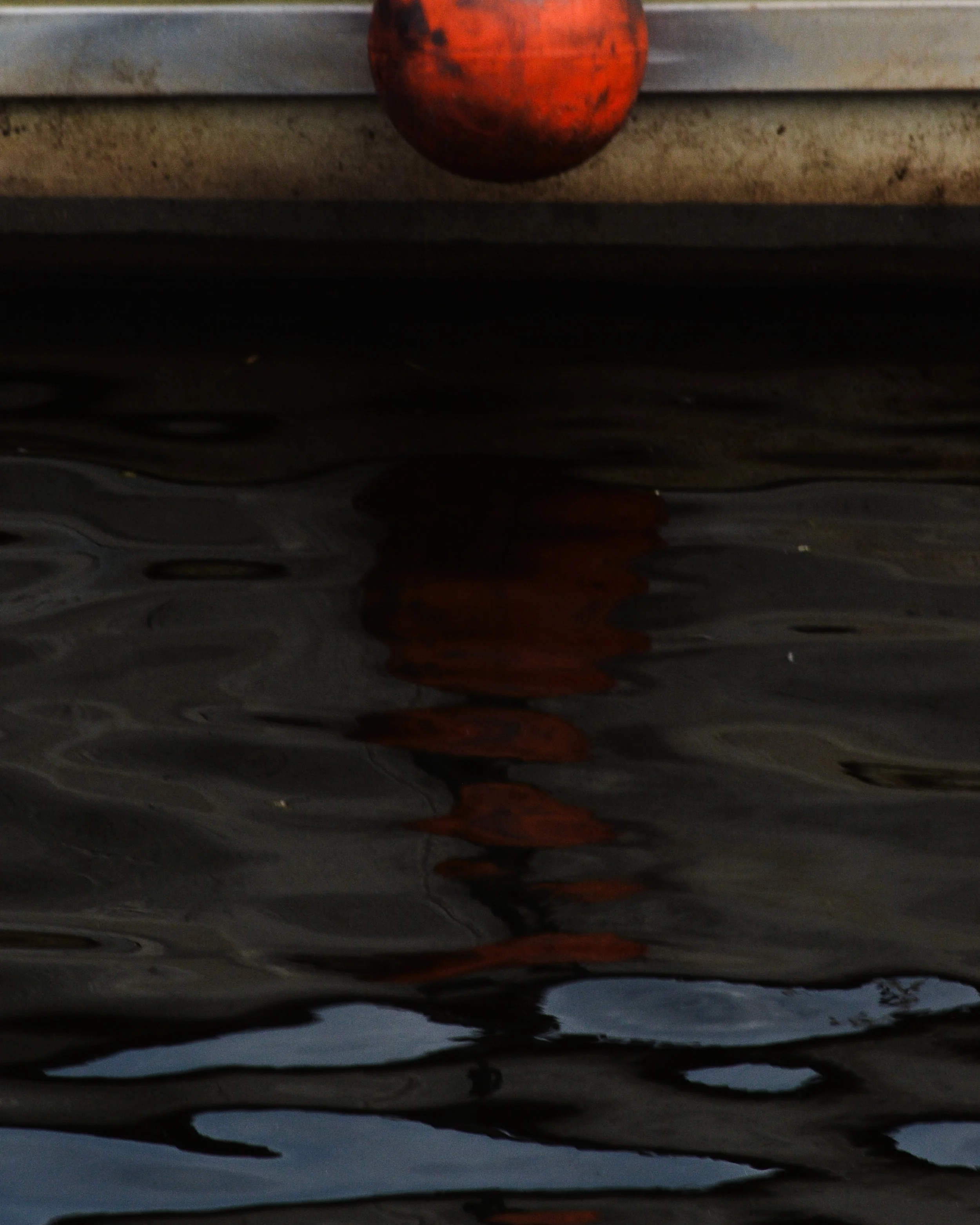 DSC_1150.jpg