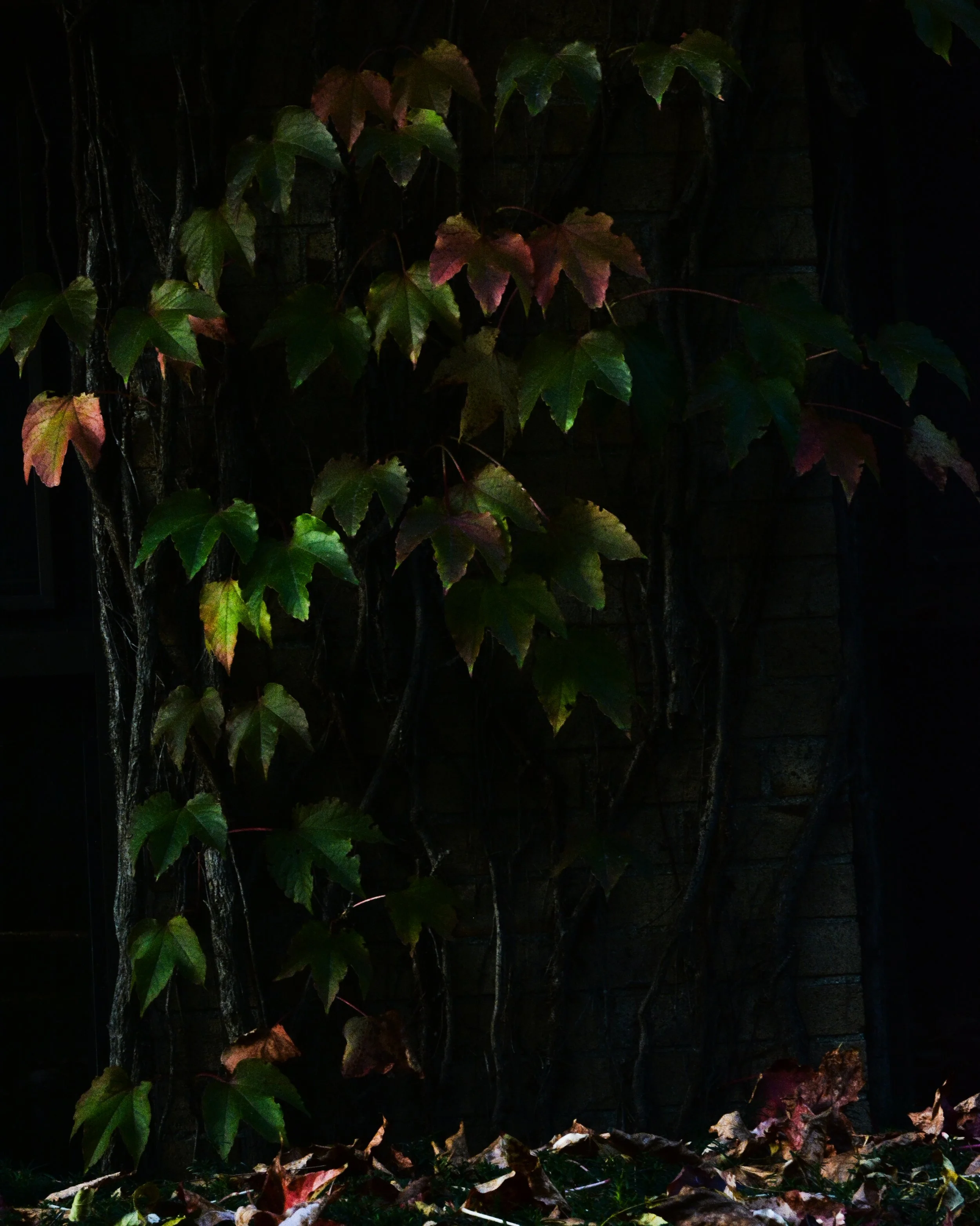 DSC_1727.jpg