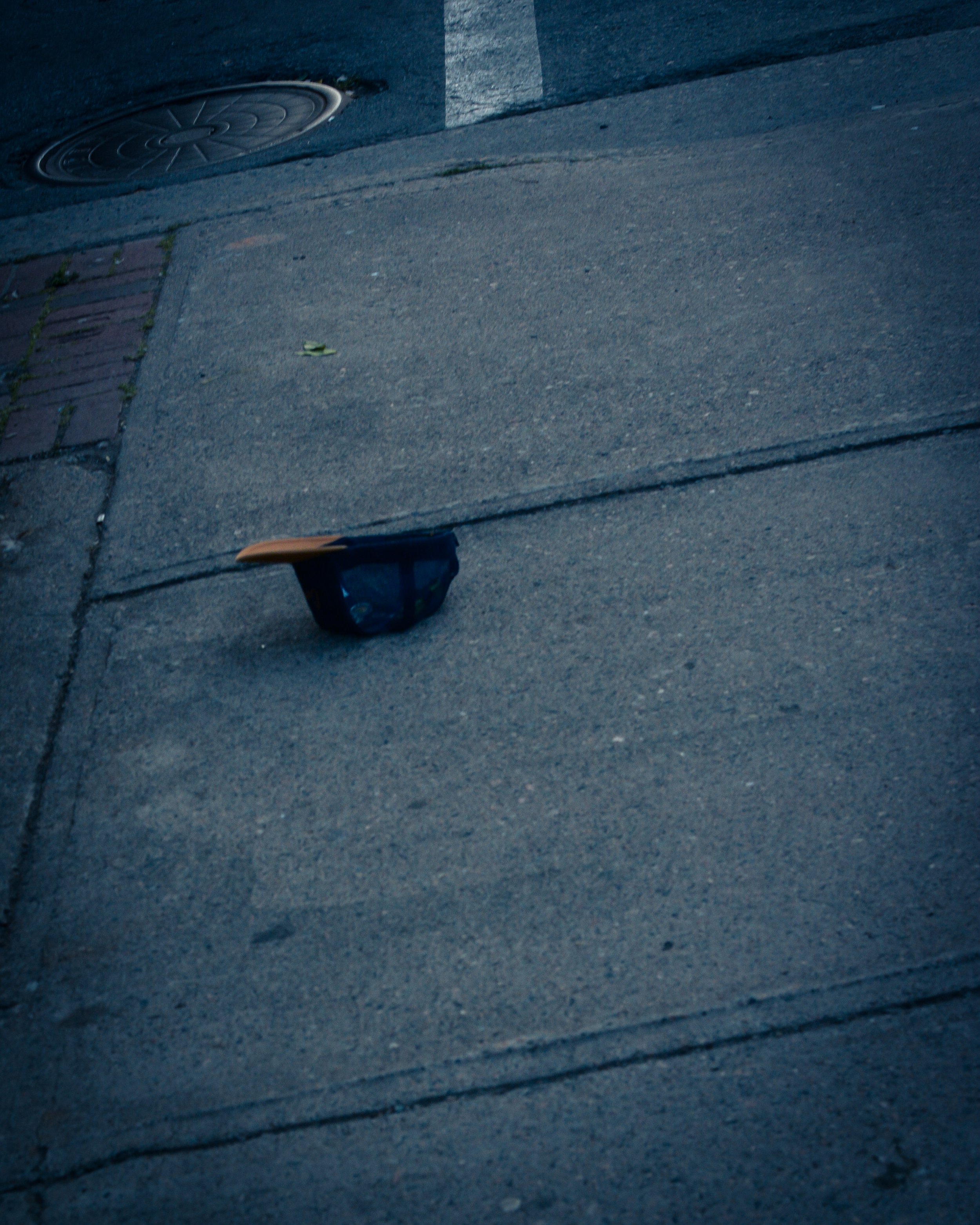DSC_1198.jpg