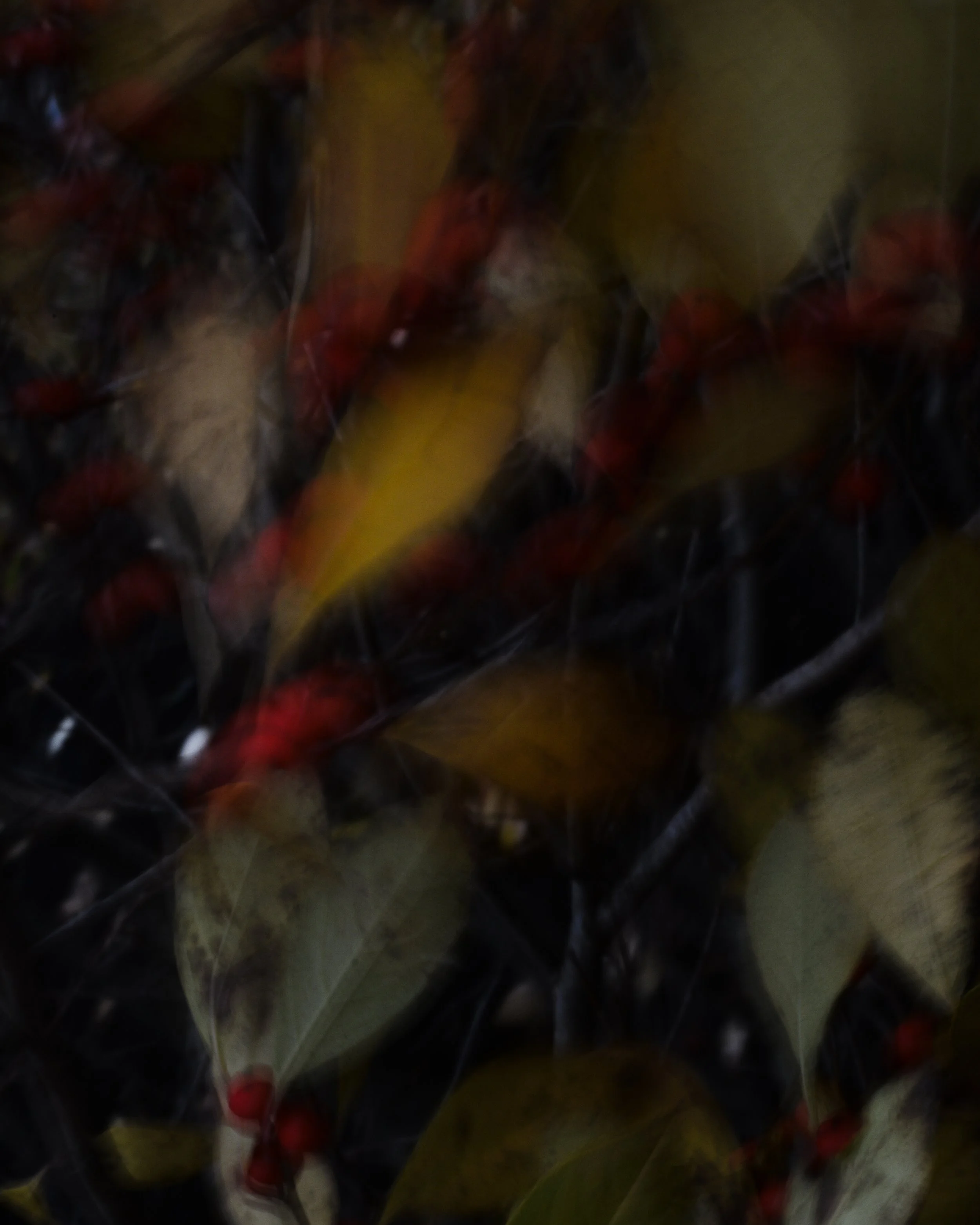 DSC_1756.jpg