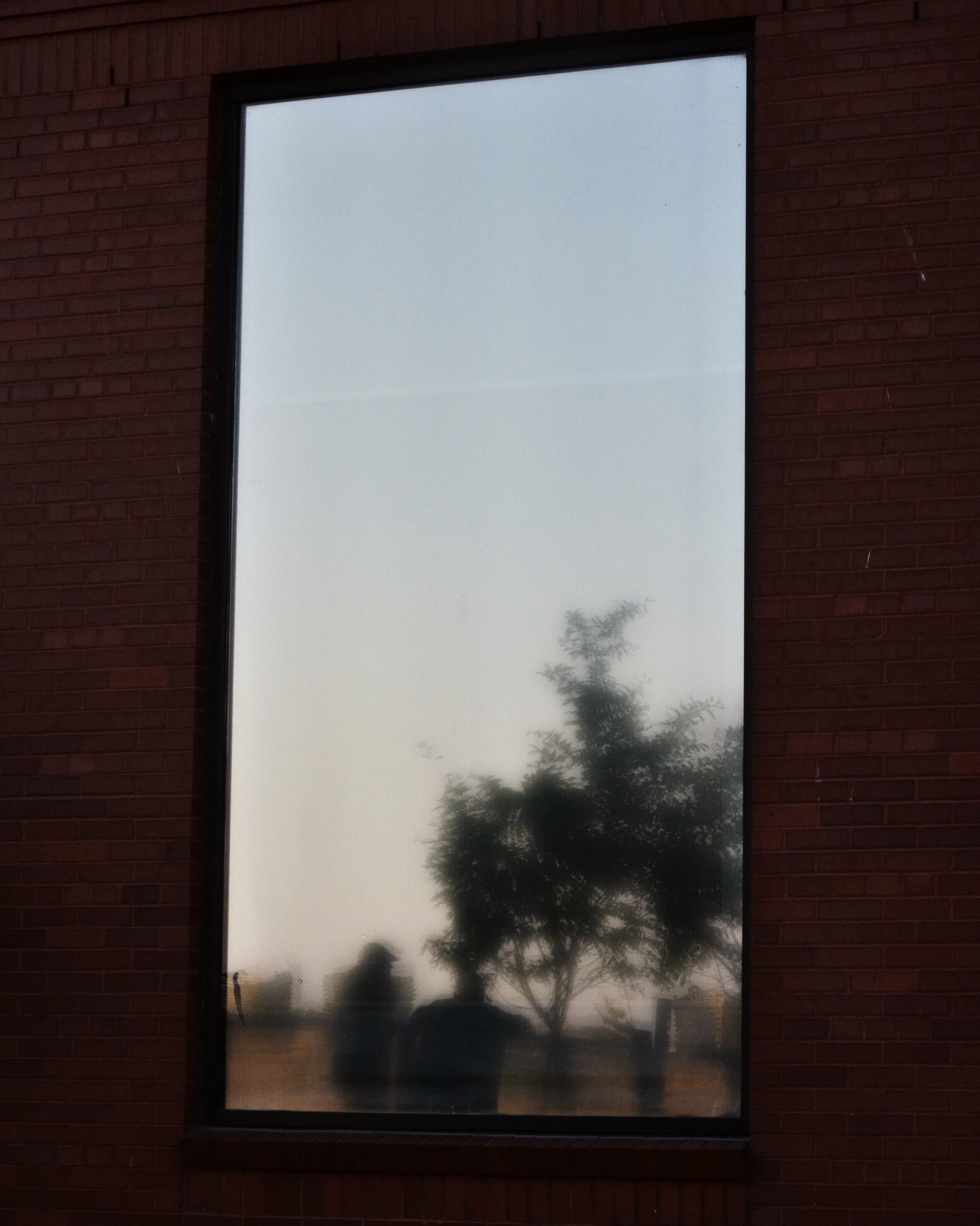 DSC_0977.jpg